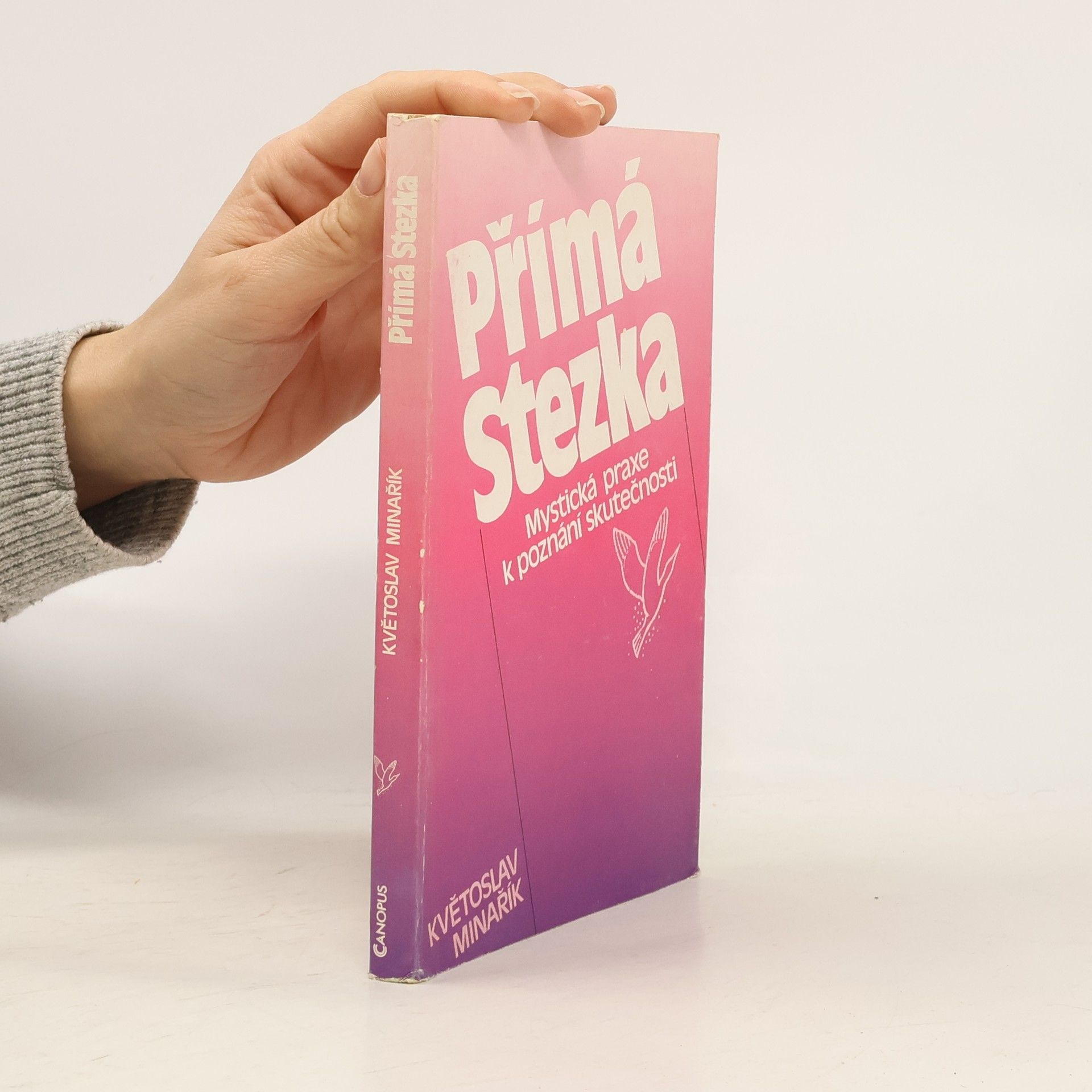 Kvetoslav Minarik Přímá stezka