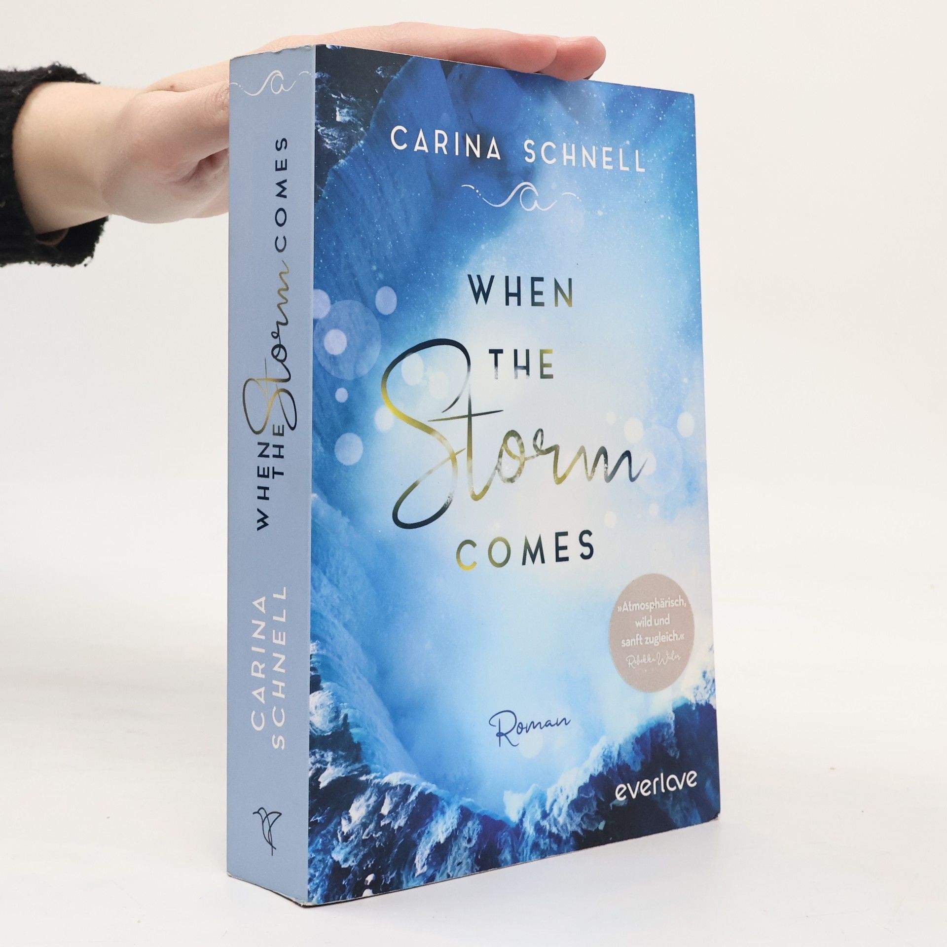 Carina Schnell When the storm comes