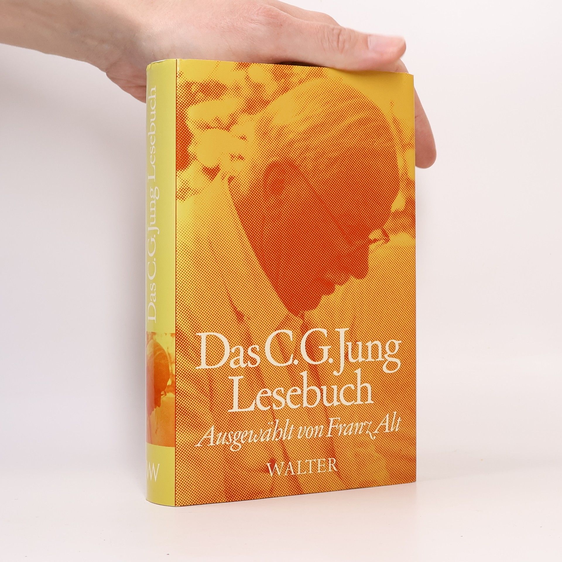 Carl Gustav Jung Das C.-G.-Jung-Lesebuch