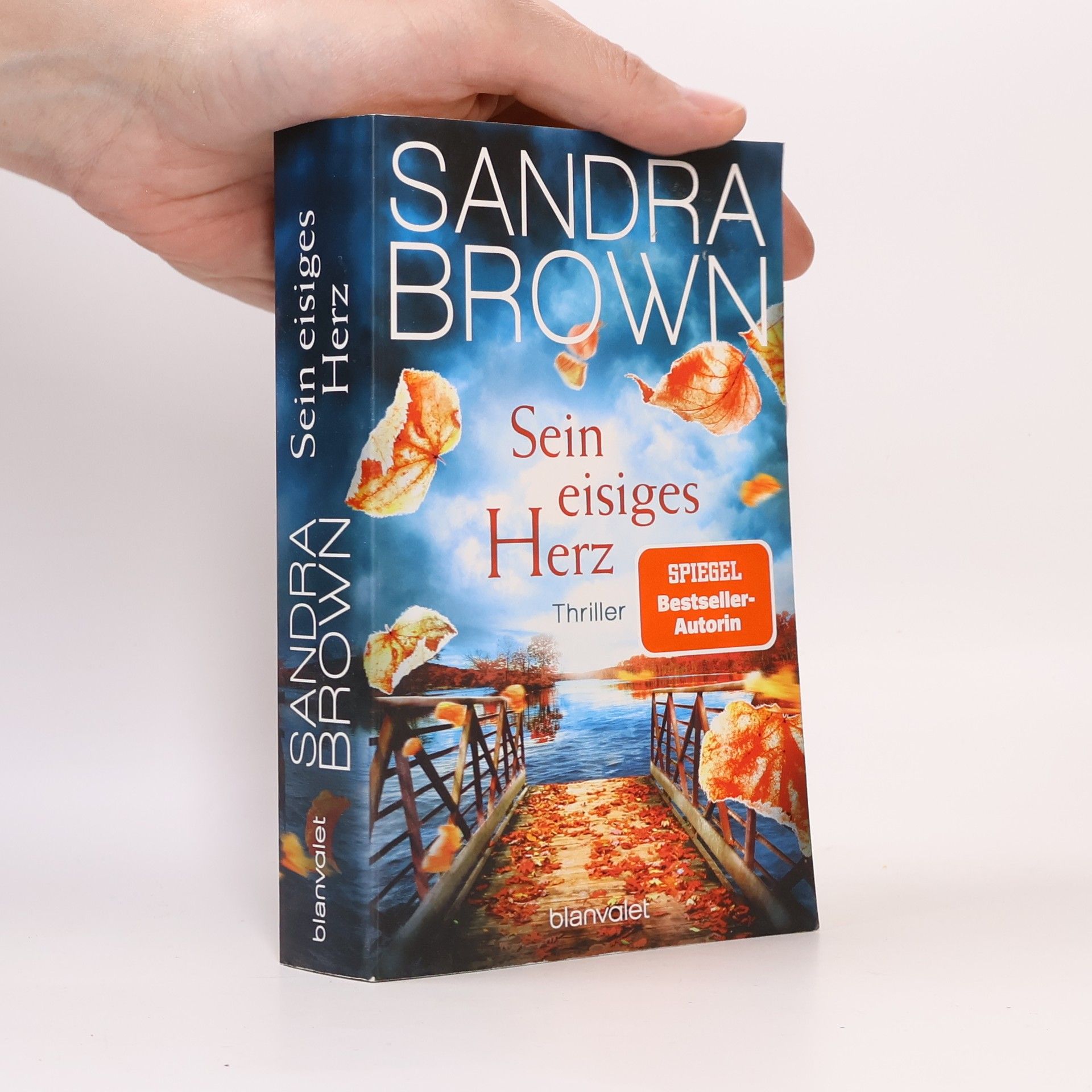 Sandra Brown Sein eisiges Herz