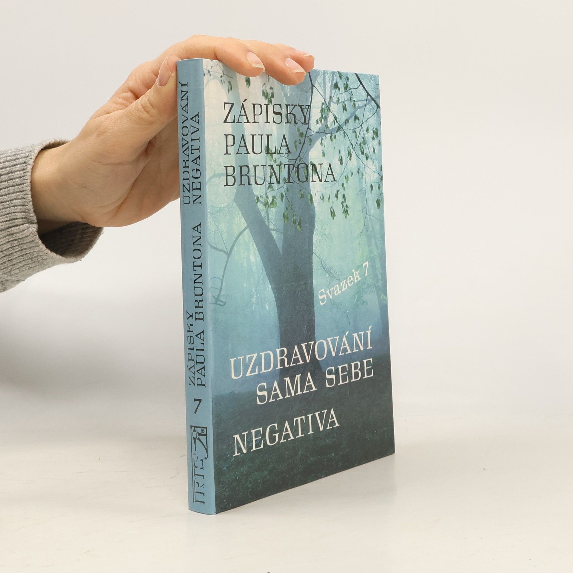 Paul Brunton Zápisky Paula Bruntona : do hloubky rozpracovaná desátá a jedenáctá kategorie ze Zápisků. Svazek 7