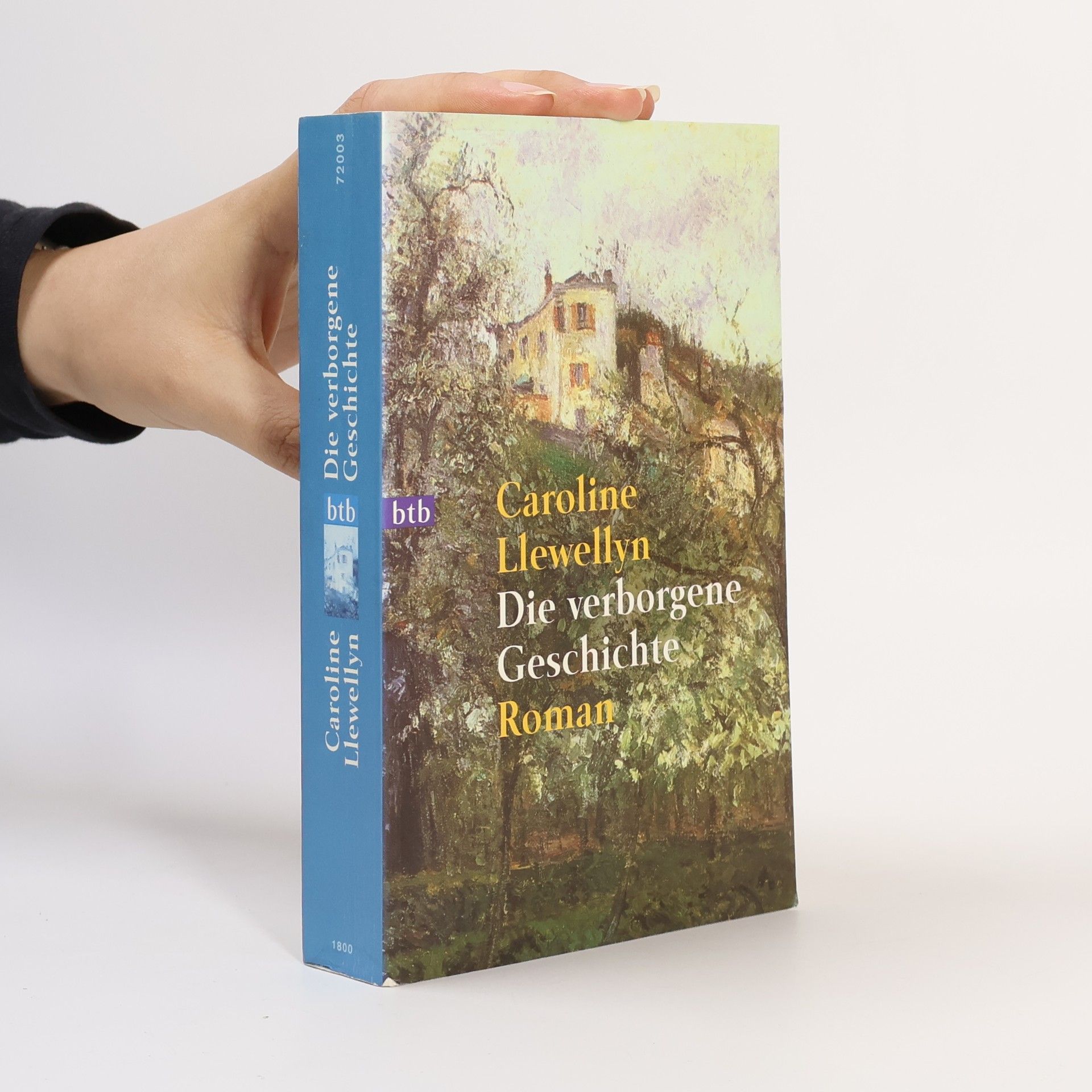 Caroline Llewellyn Die verborgene Deschichte