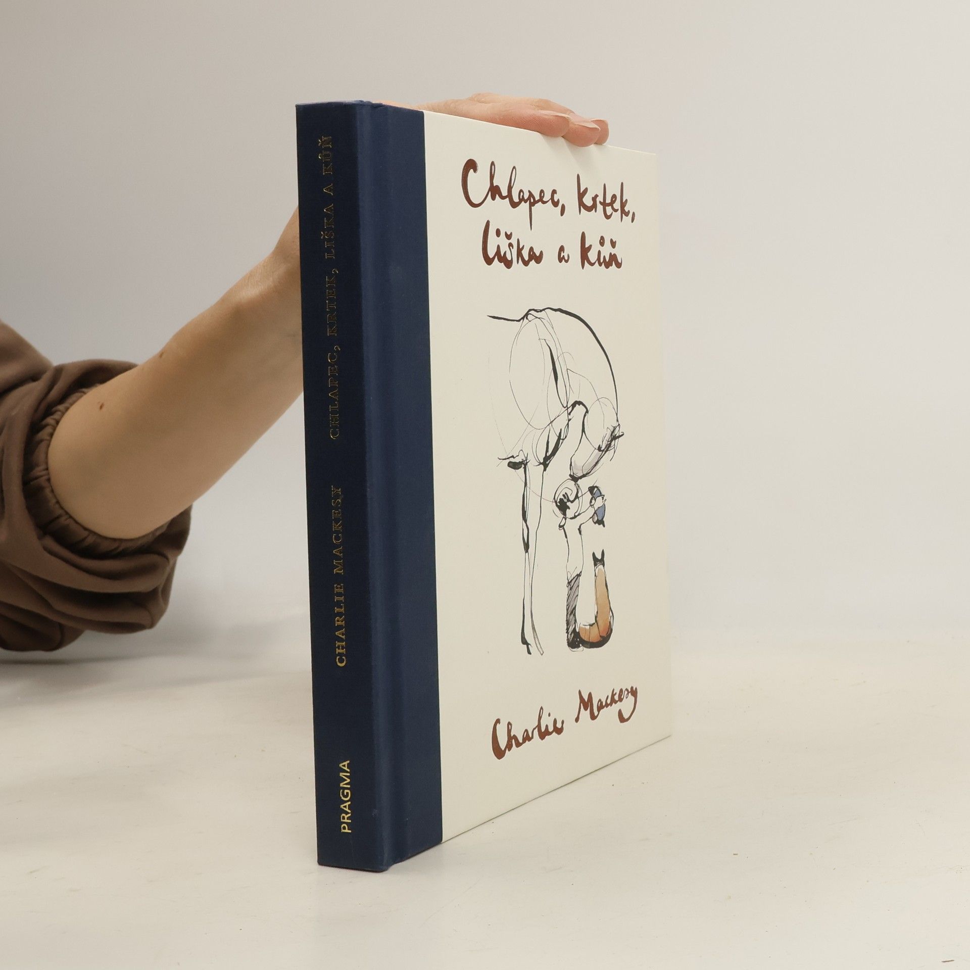 Chlapec, krtek, liška a kůň