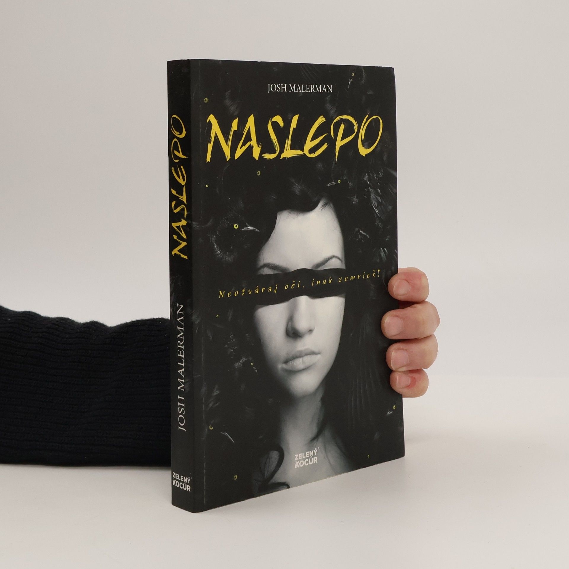 Josh Malerman Naslepo
