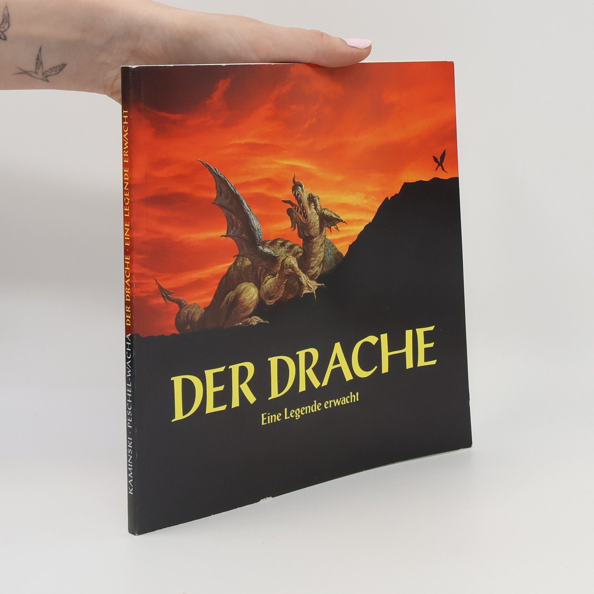 Gerd Kaminski Der Drache