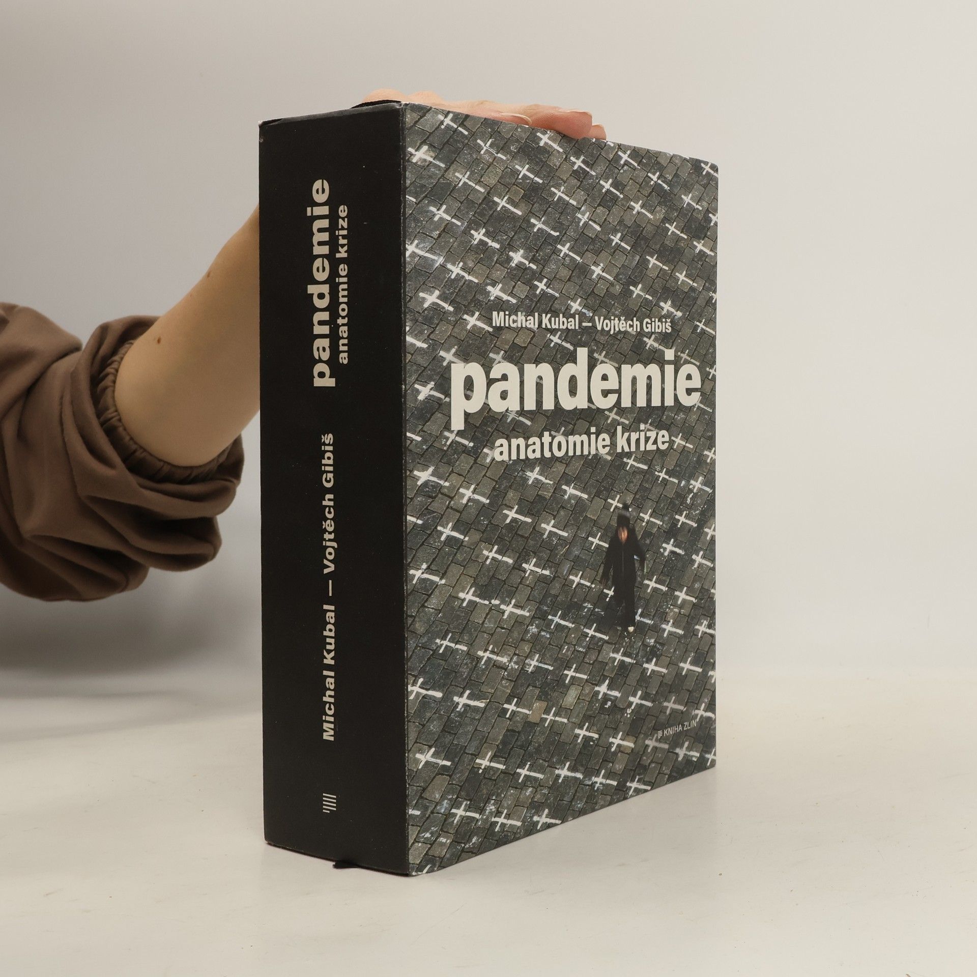 Michal Kubal Pandemie : anatomie krize