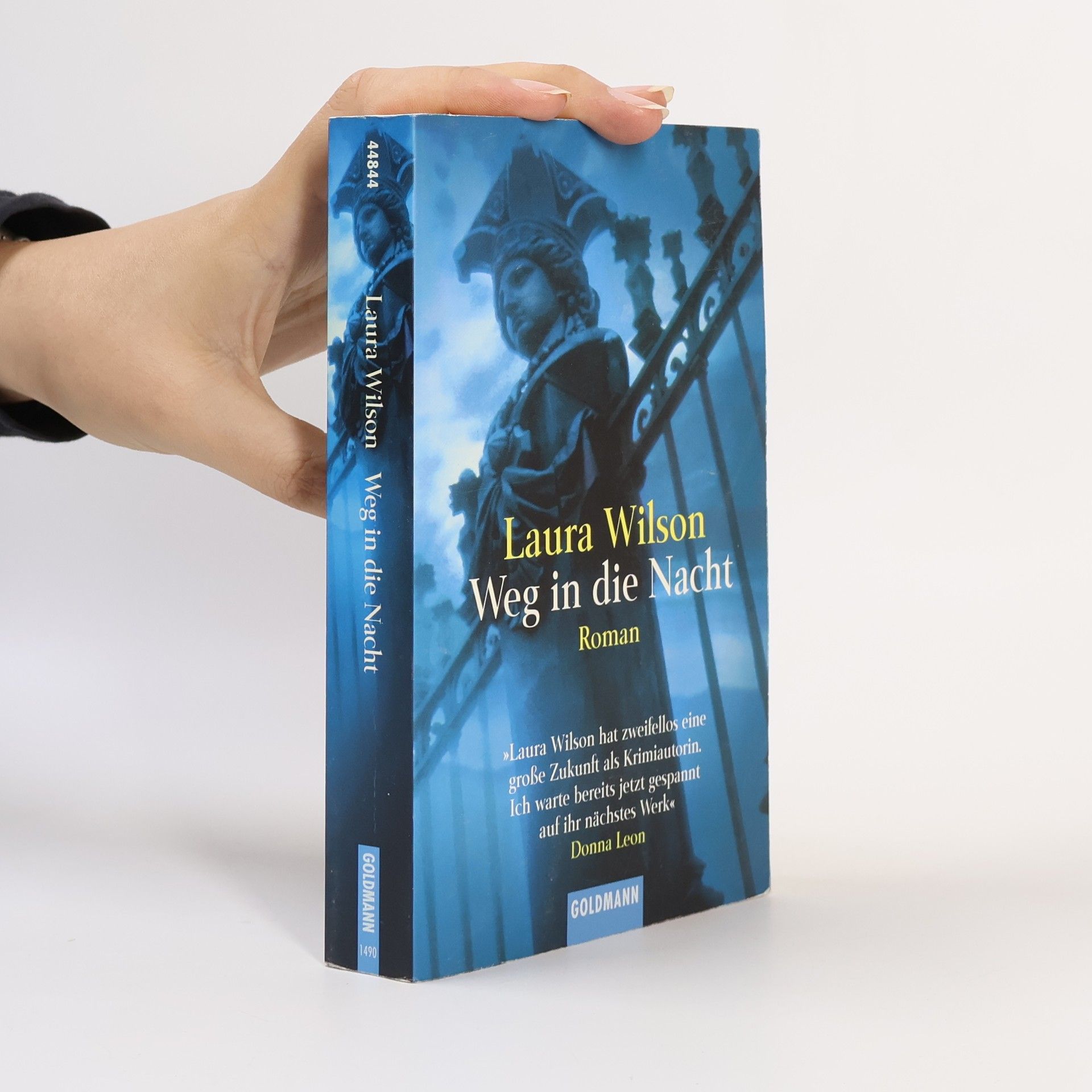 Laura Wilson Weg in die Nacht