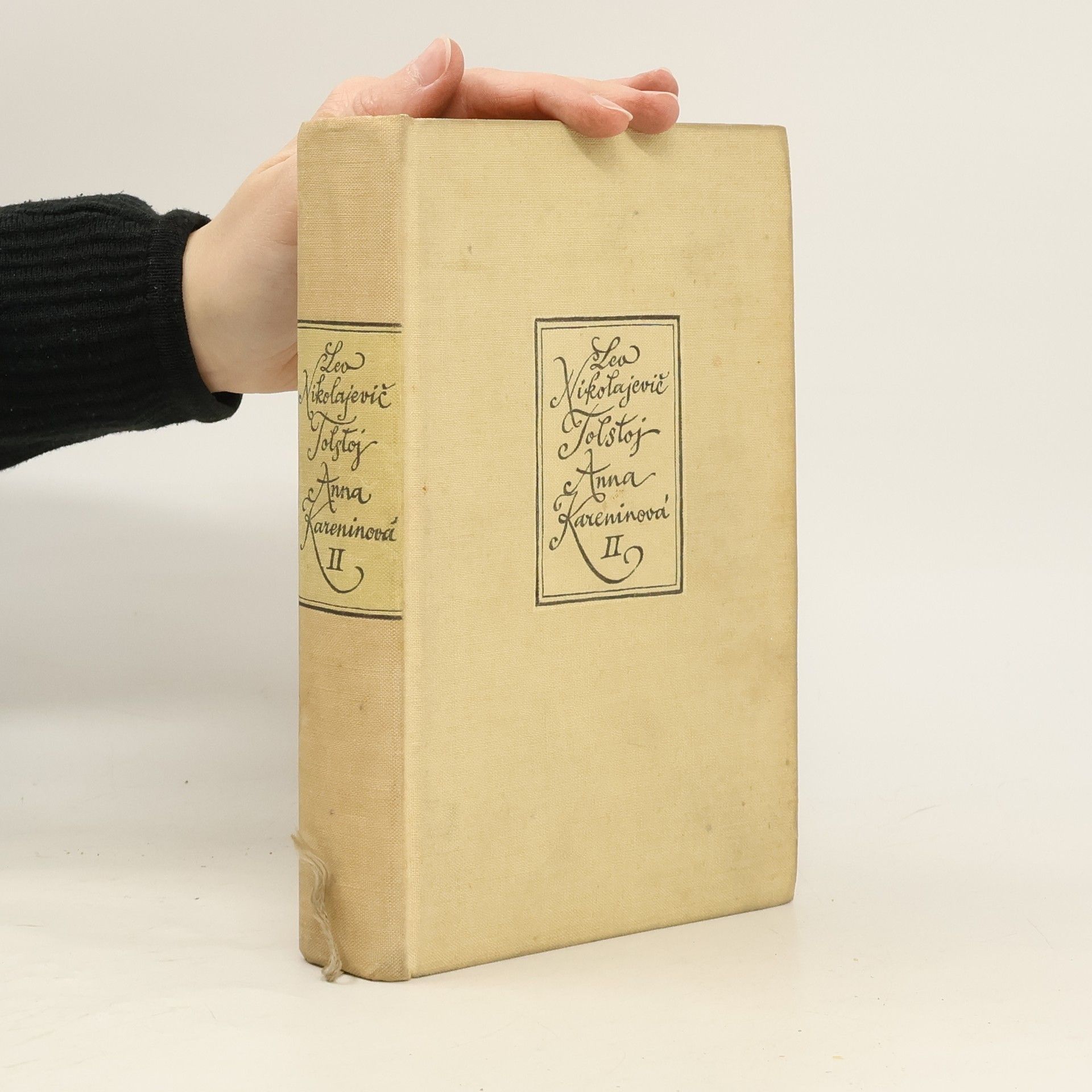 Lew Nikolajewitsch Tolstoi Anna Kareninová II.