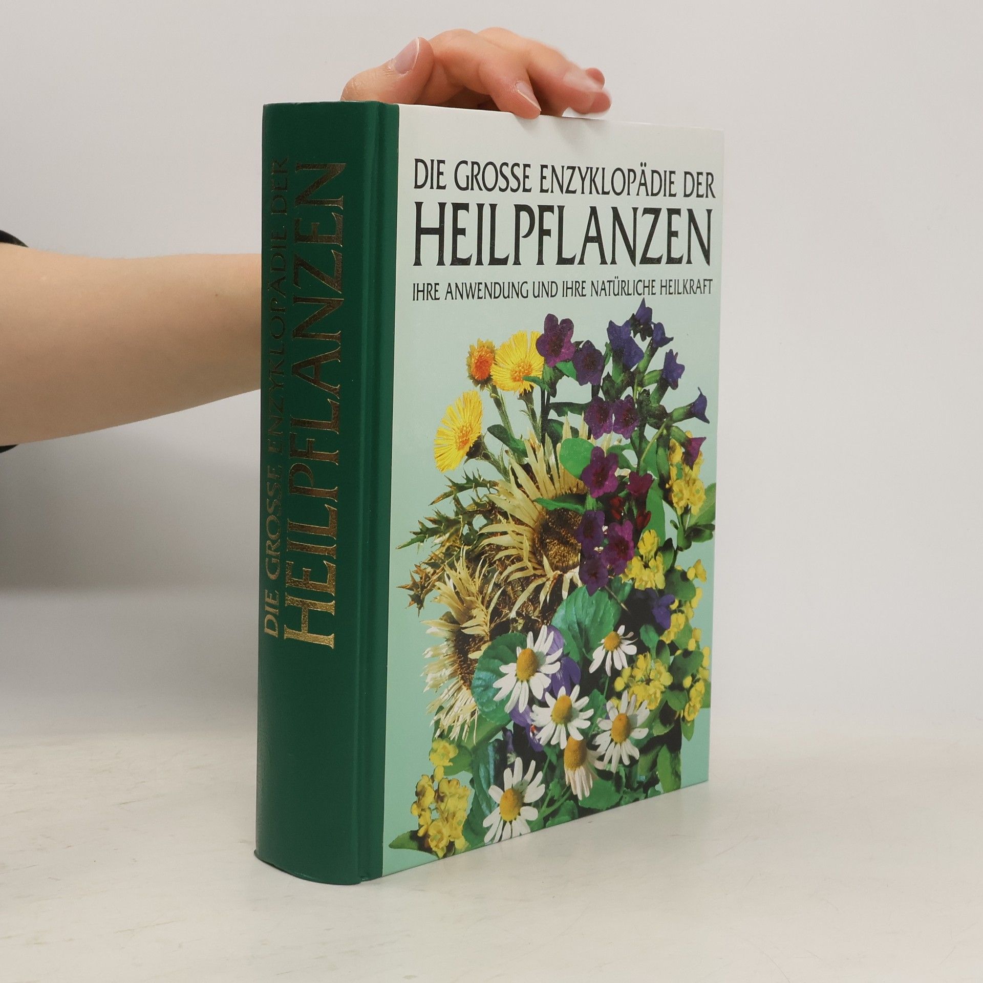 Kolektiv autorů Die grosse Enzyklopädie der Heilpflanzen