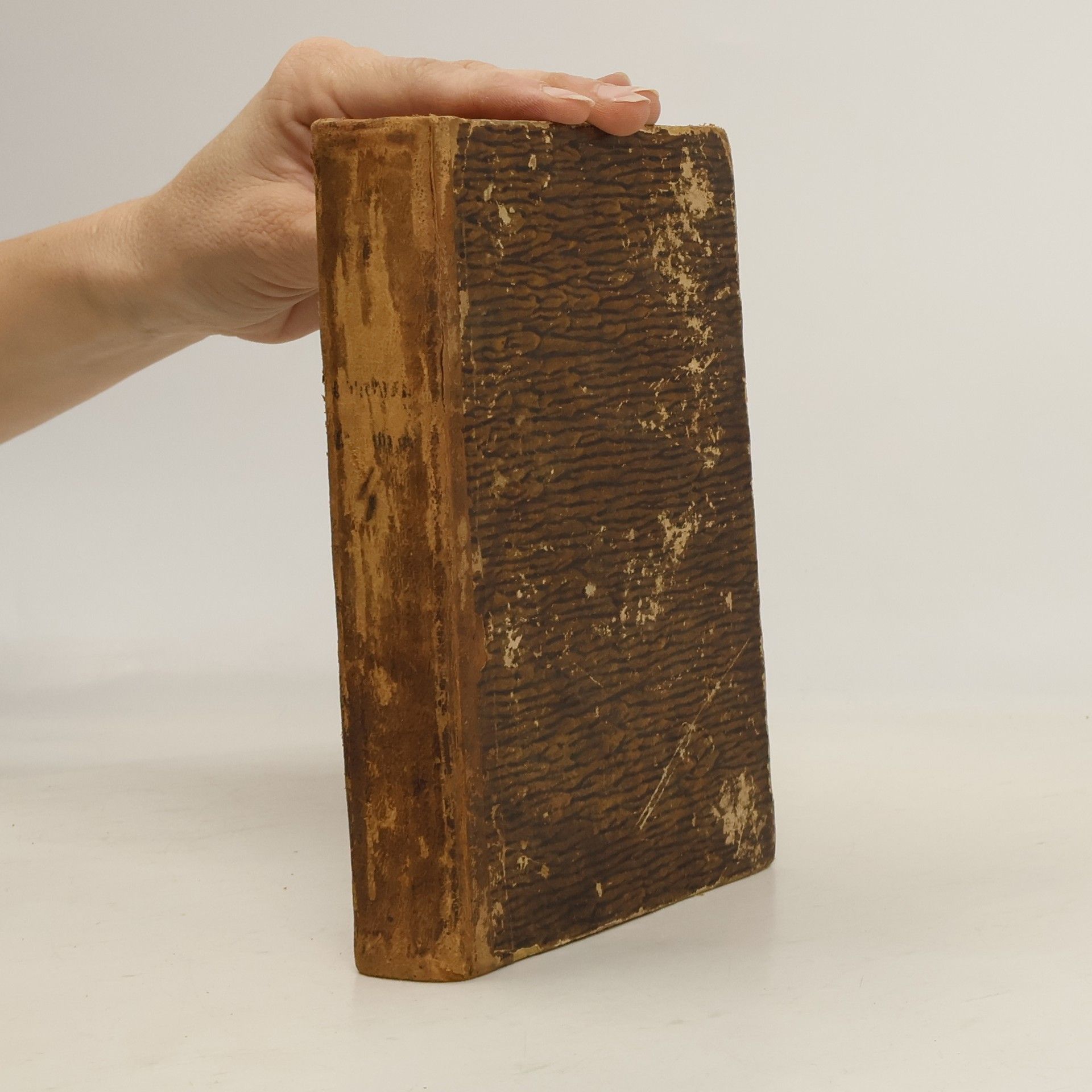 Jopseph Borscht Christoph Columbus, oder: Die Entdeckung von Amerika