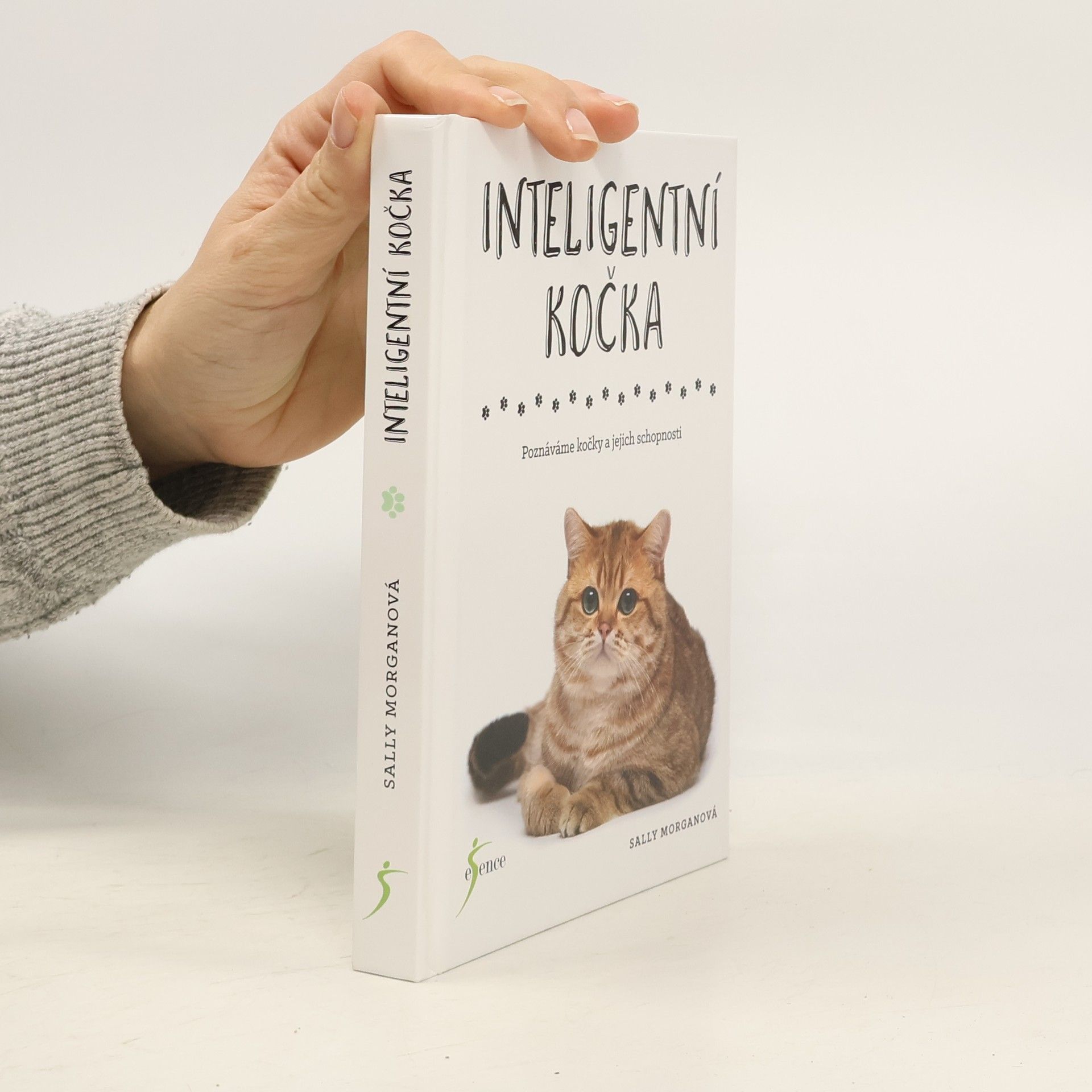 Sally Morgan Inteligentní kočka : poznáváme kočky a jejich schopnosti