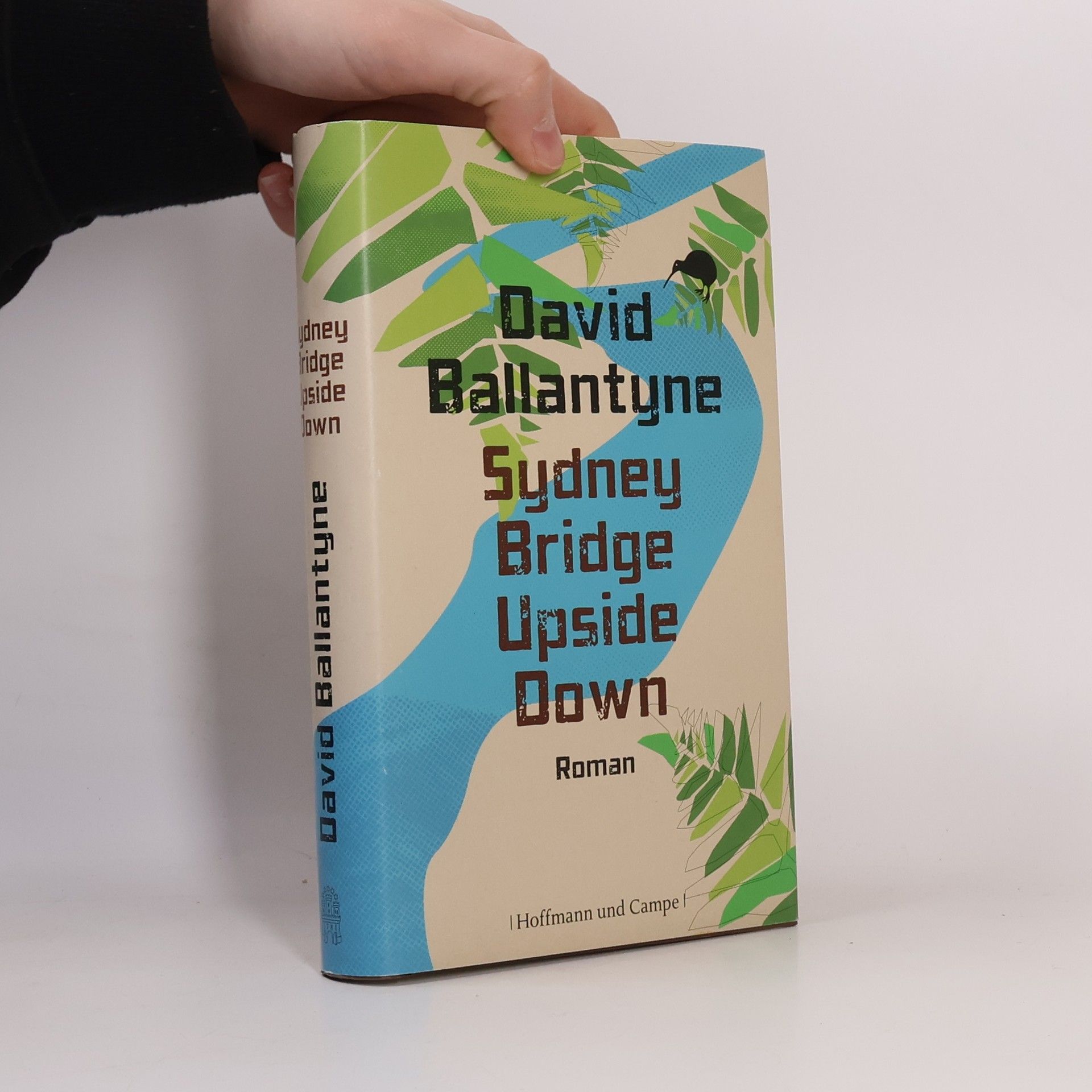 David Ballantyne Sydney Bridge upside down