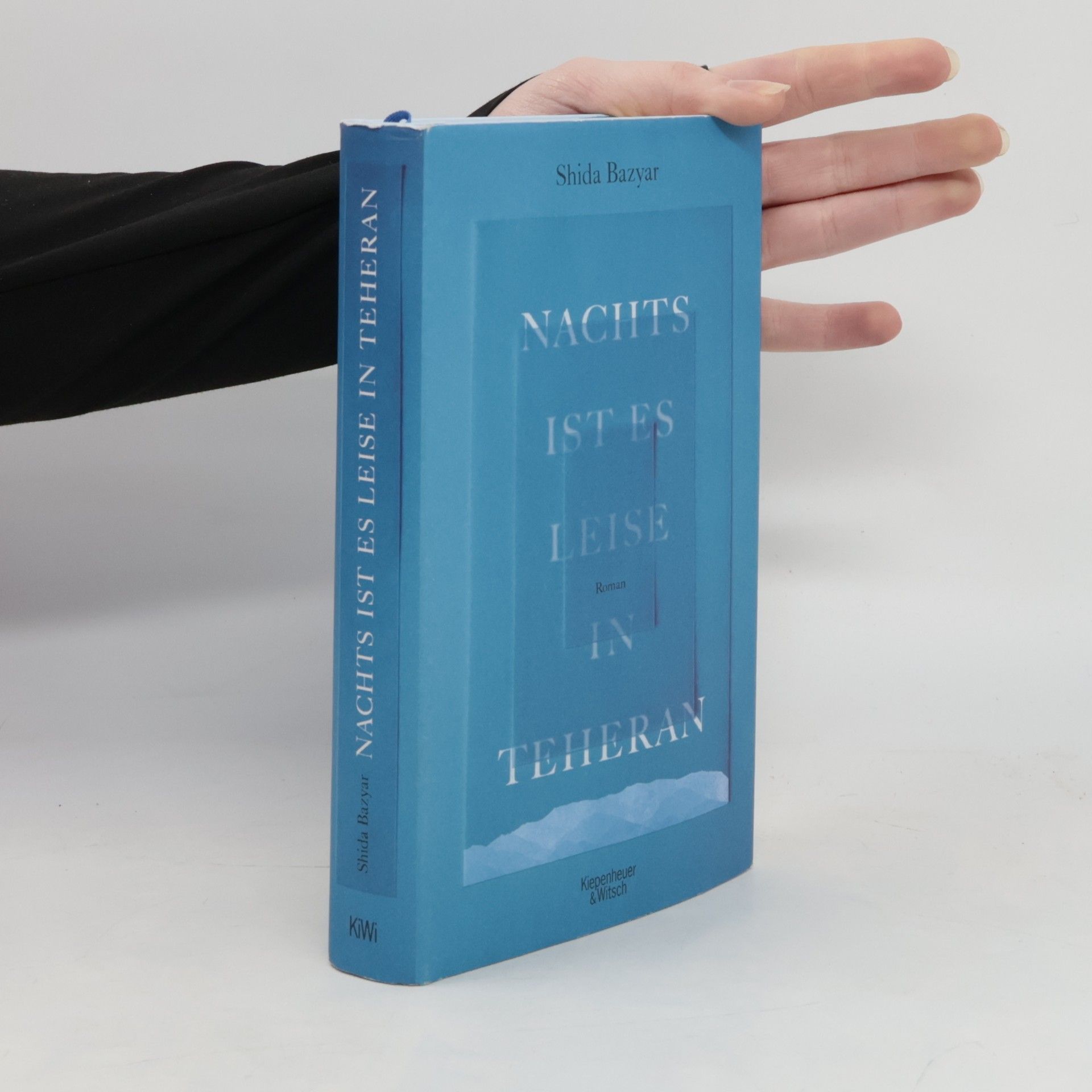 Shida Bazyar Nachts ist es leise in Teheran