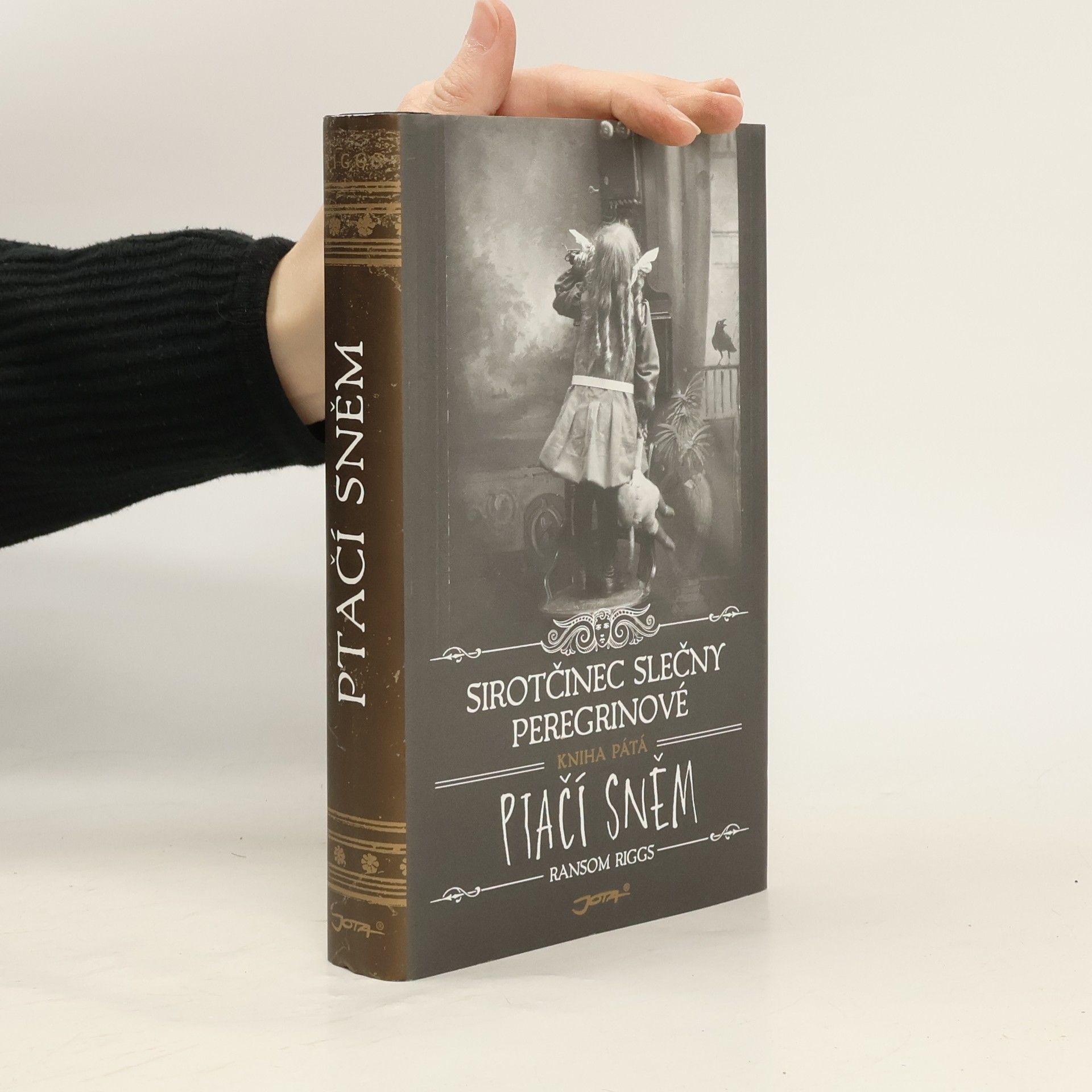 Ransom Riggs Ptačí sněm