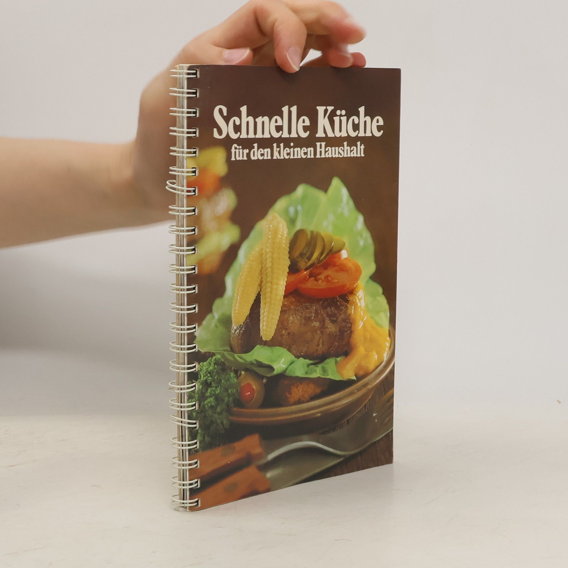 Kolektiv autorů Schnelle Küche für den kleinen Haushalt