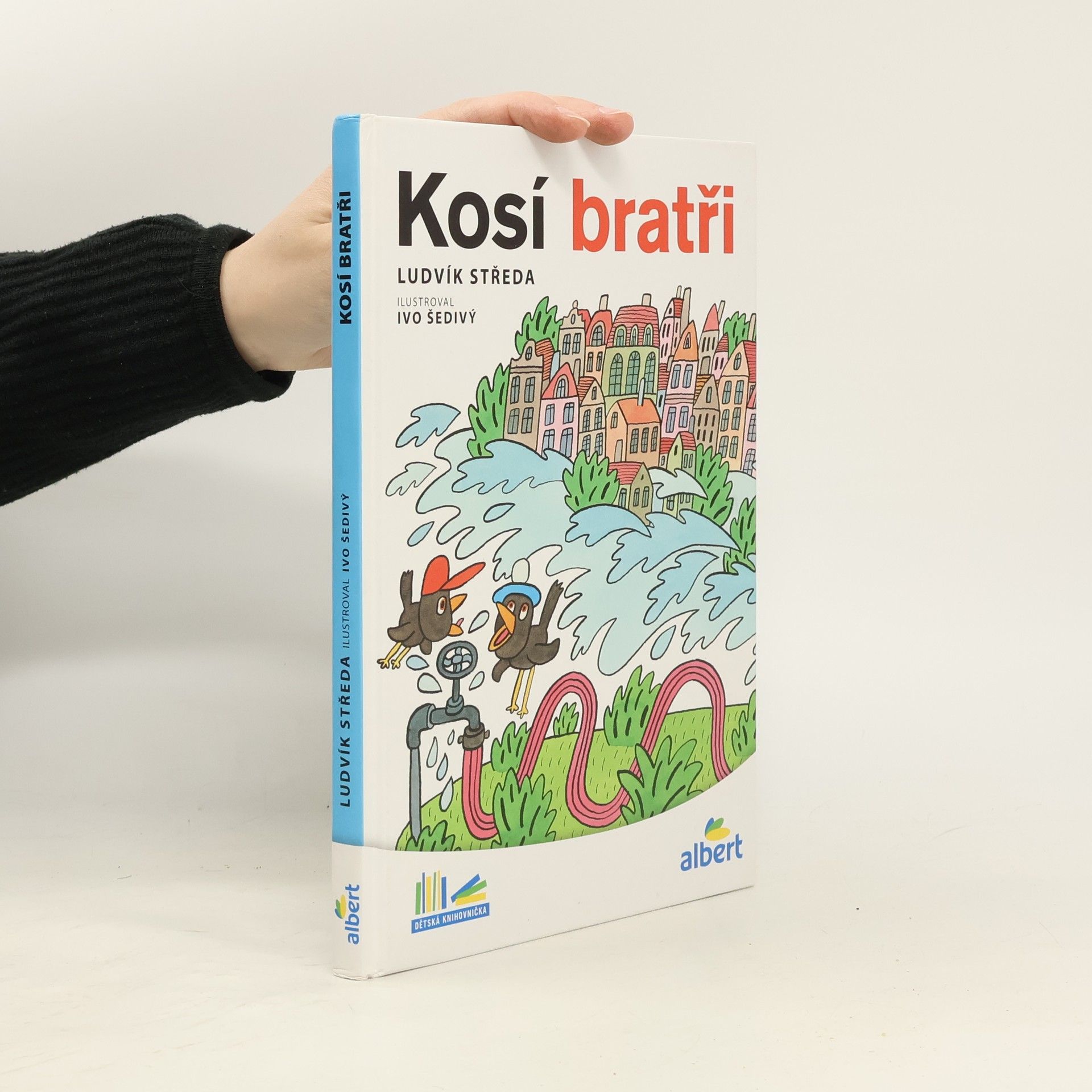 Ludvík Středa Kosí bratři