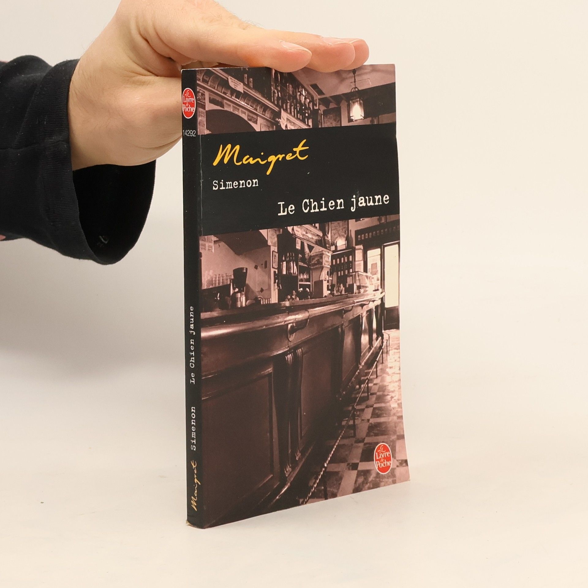 Georges Simenon Le chien jaune