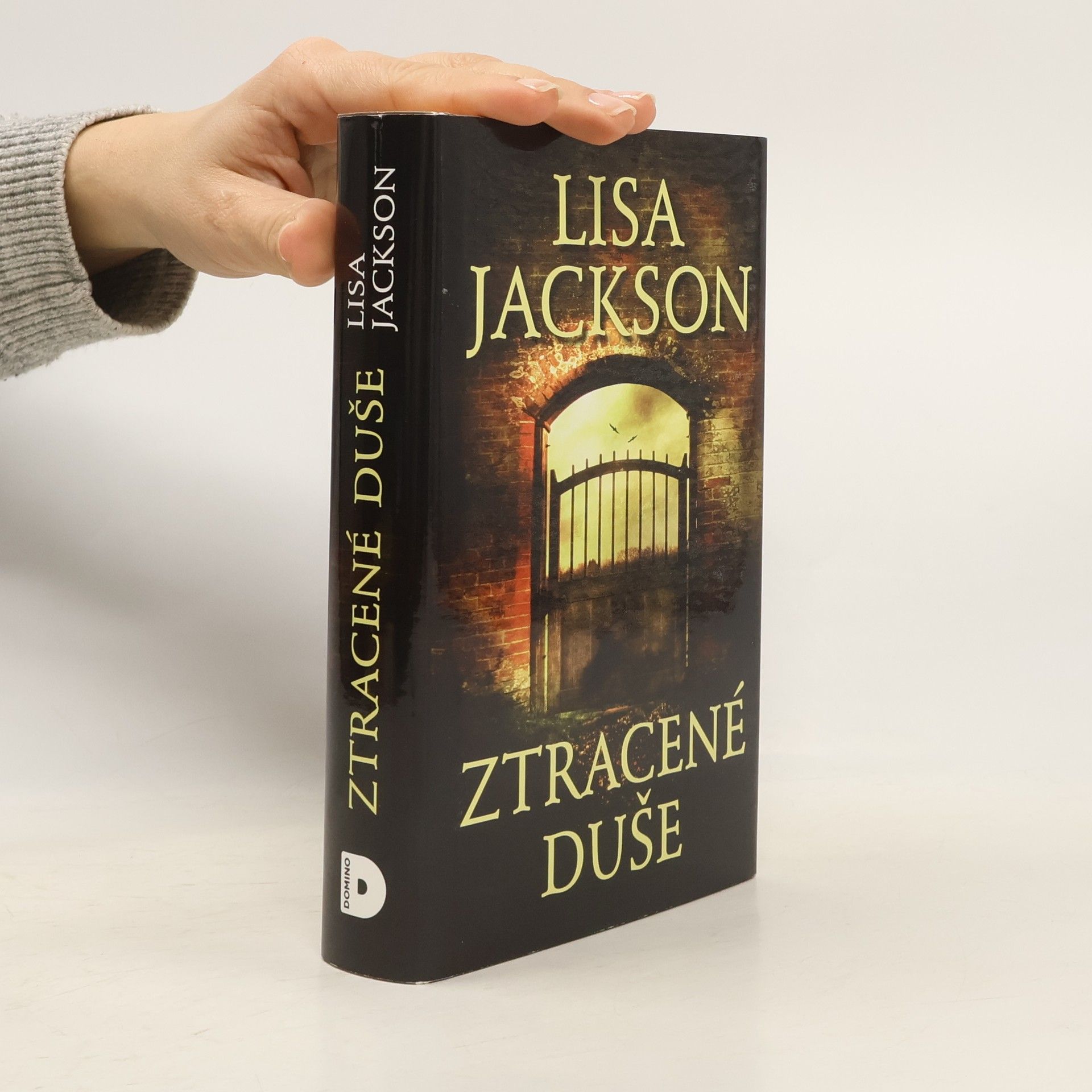 Lisa Jackson Ztracené duše