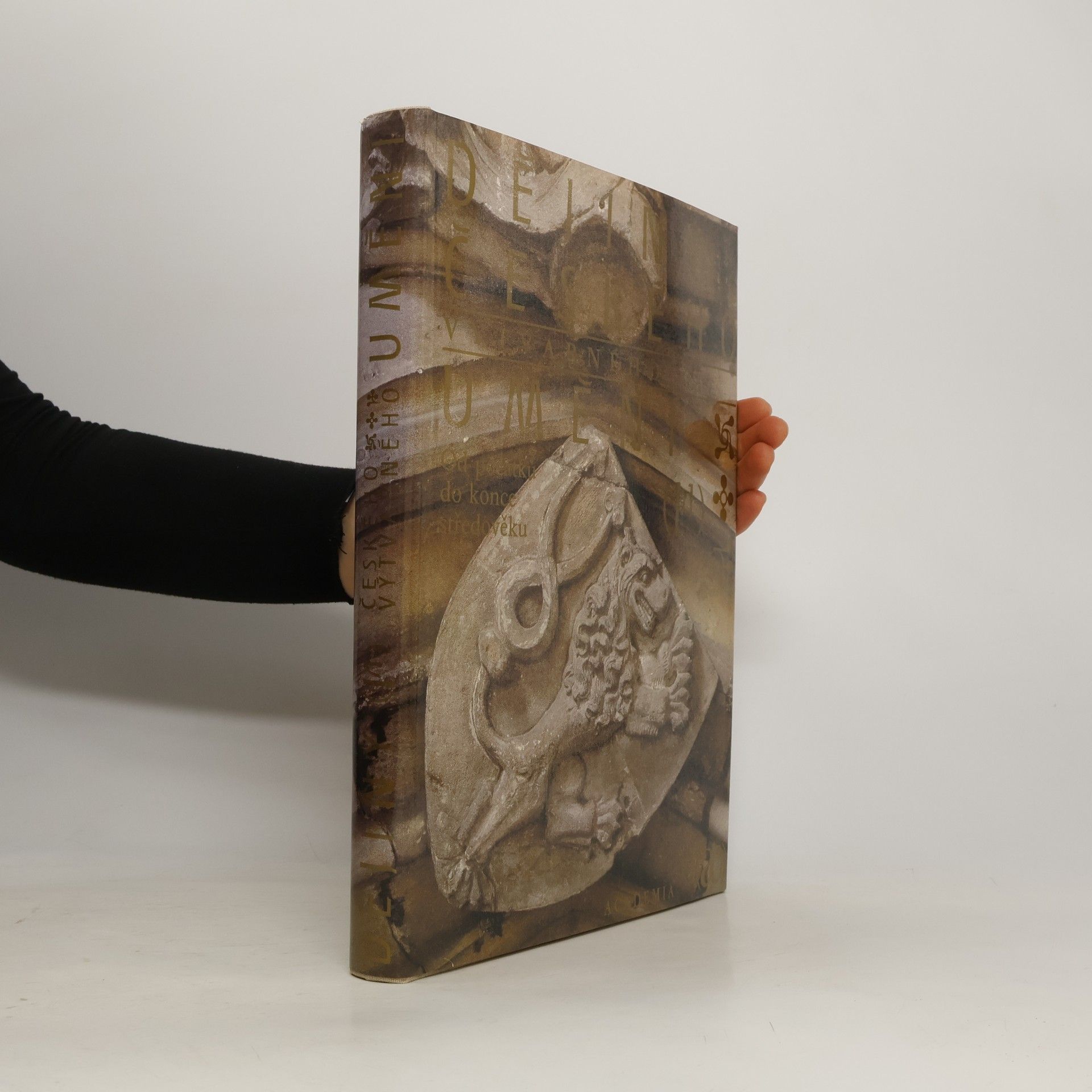 Kolektiv autorů Dějiny českého výtvarného umění I/1