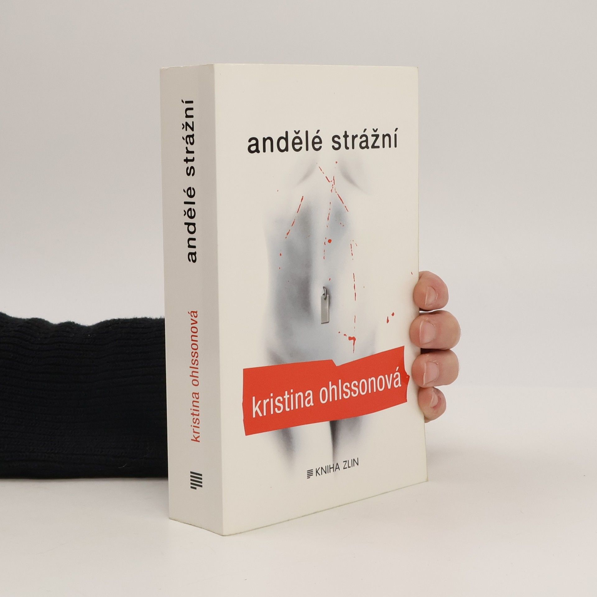 Kristina Ohlsson Andělé strážní