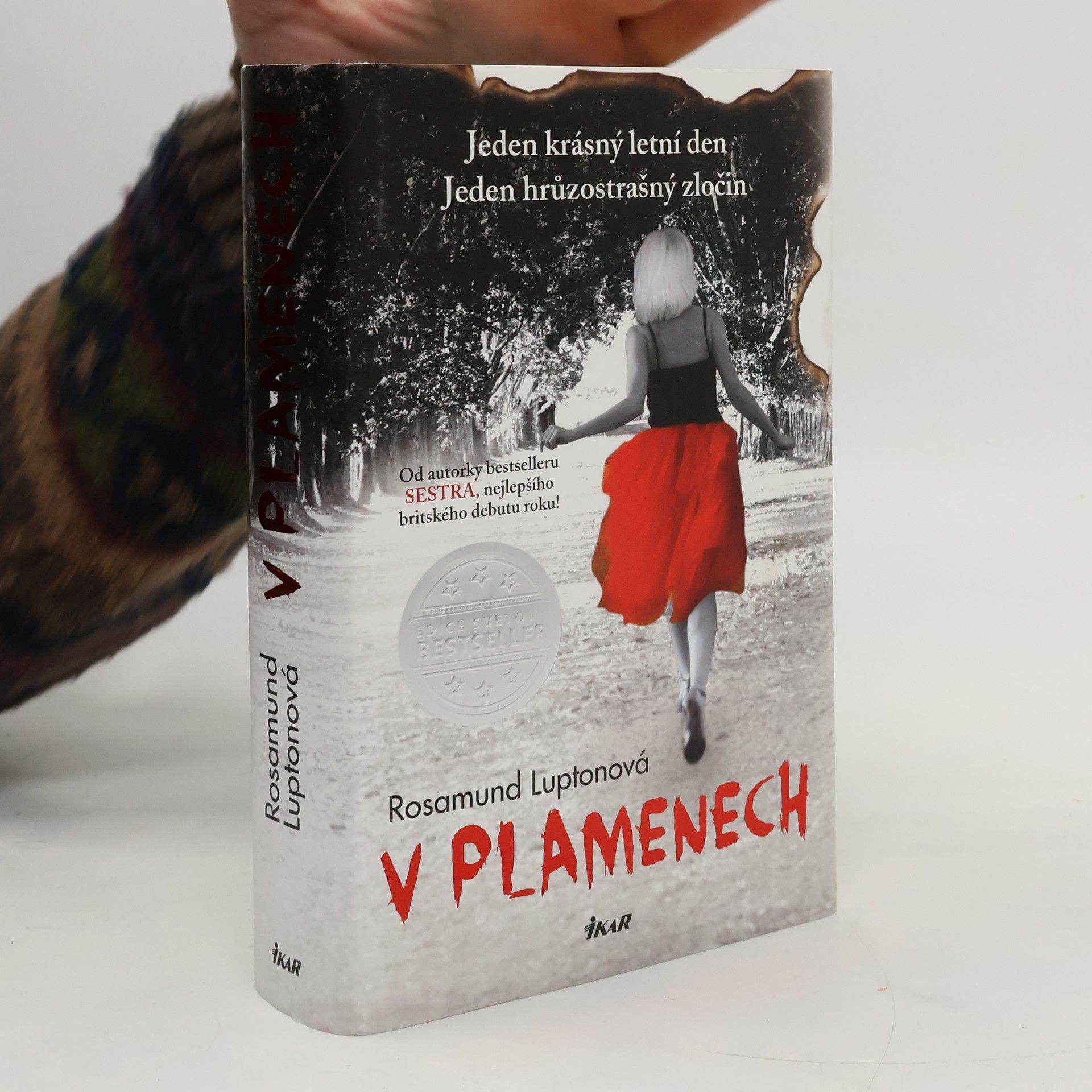 Rosamund Lupton V plamenech