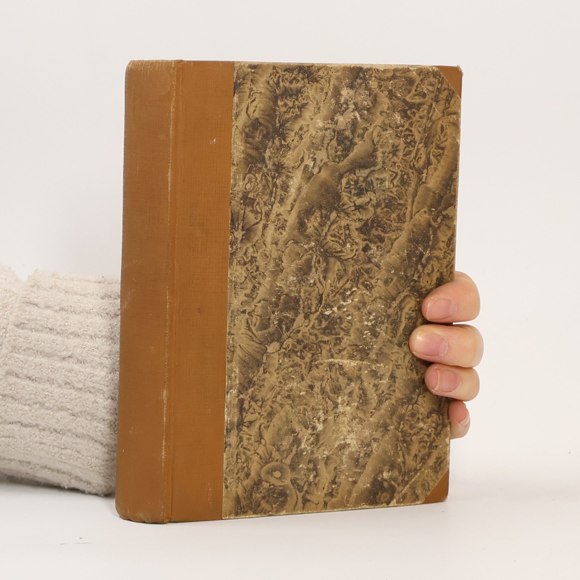 Alexandre Dumas starší Královna Margot II. díl