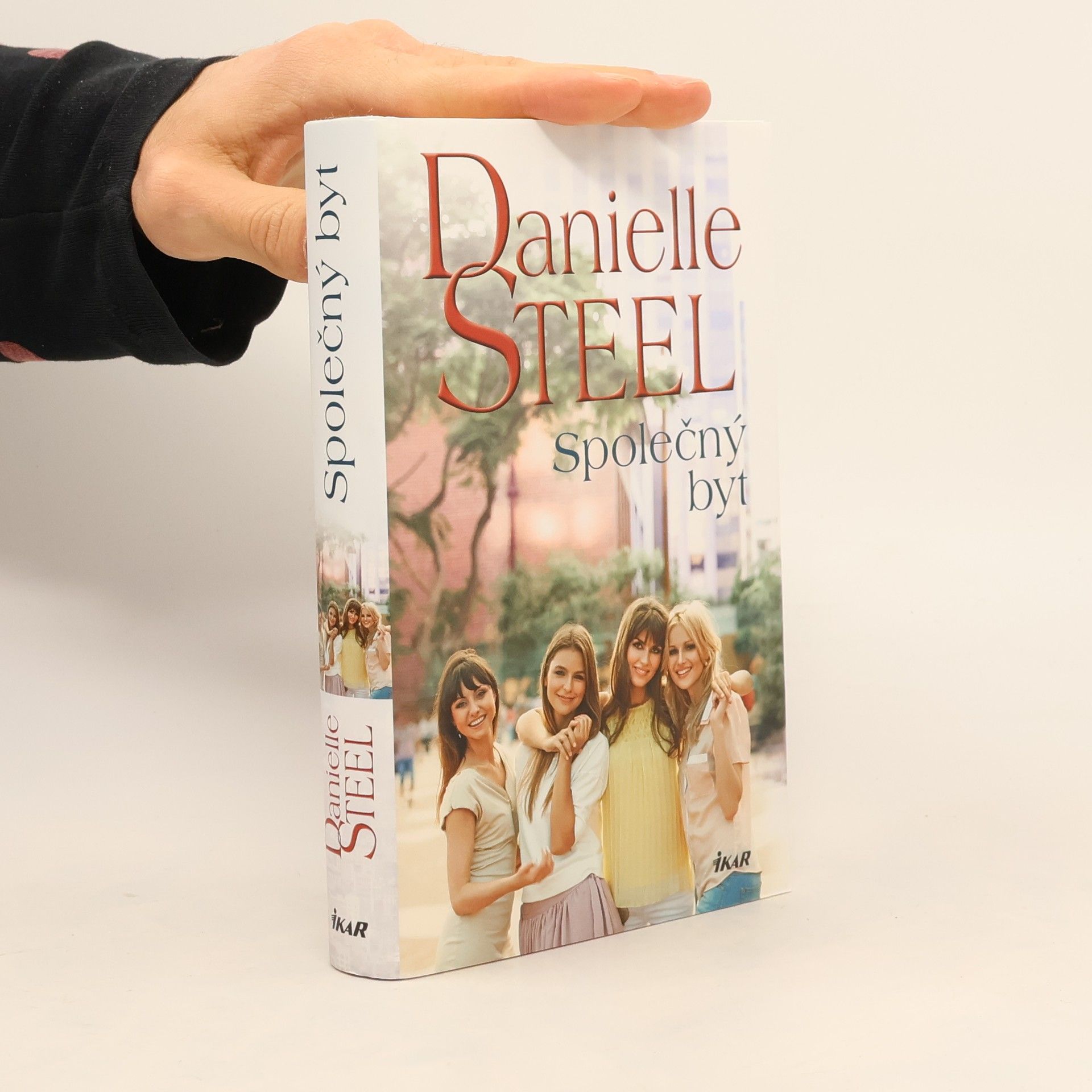 Danielle Steel Společný byt