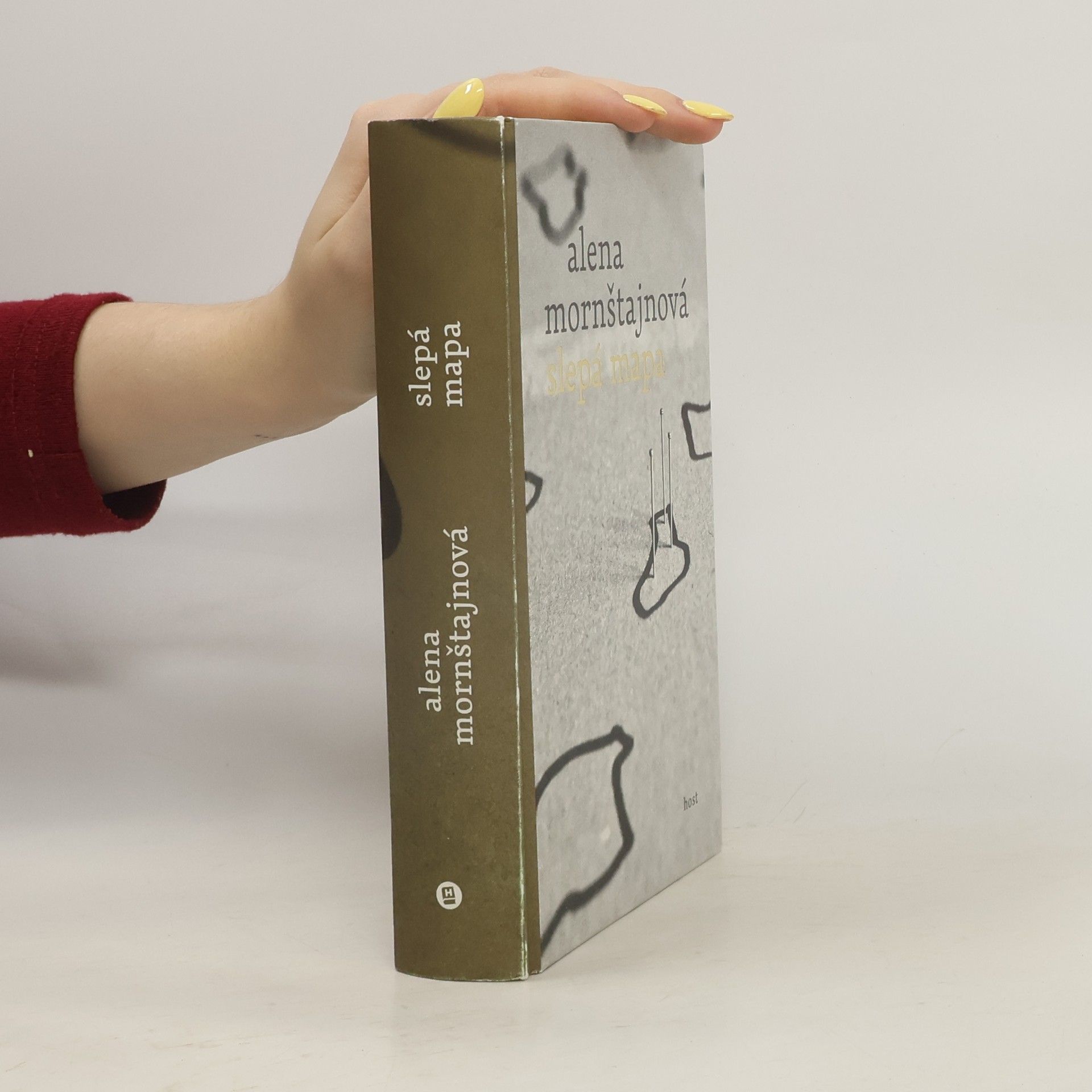 Alena Mornštajnová Slepá mapa