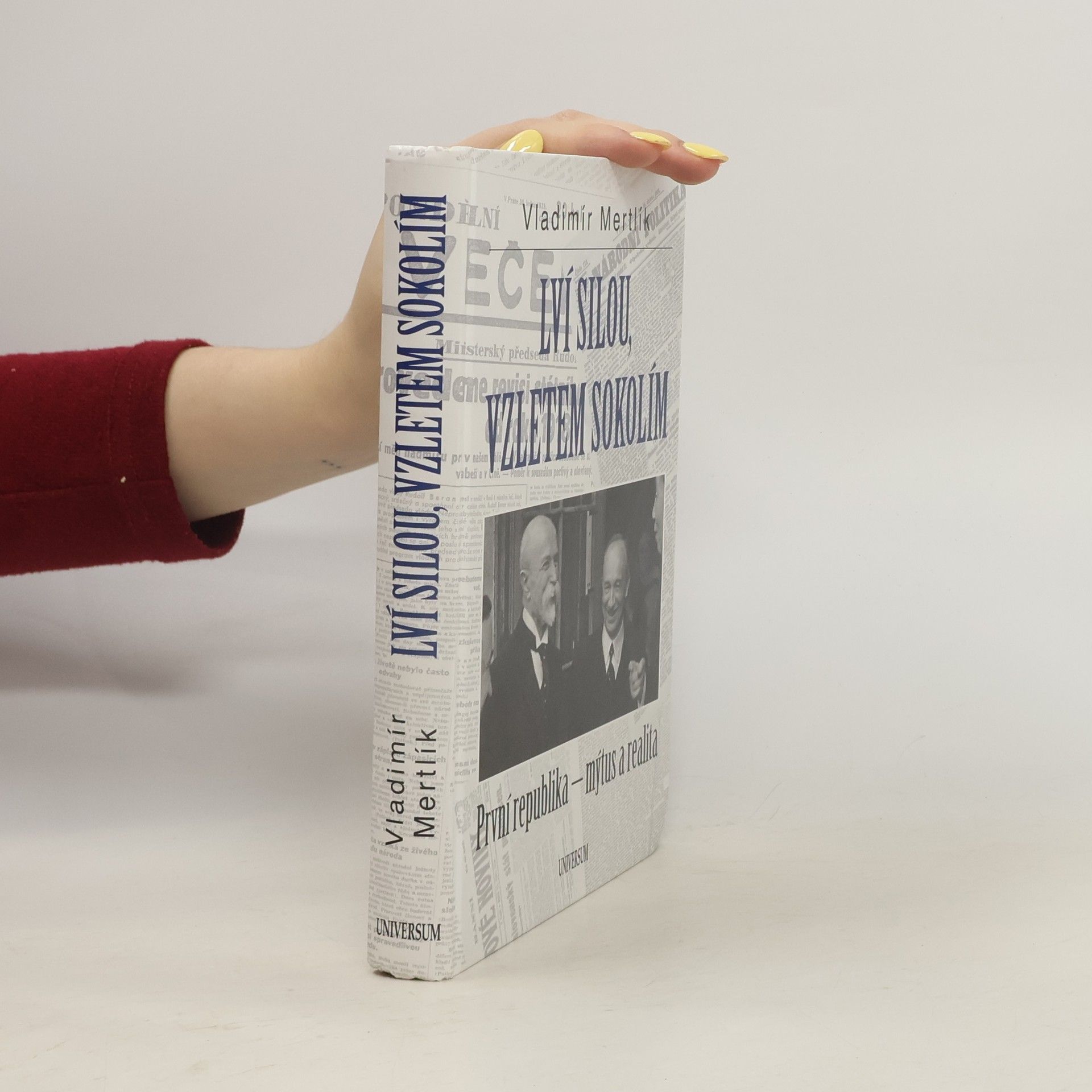 Lví silou, vzletem sokolím. První republika - mýtus a realita