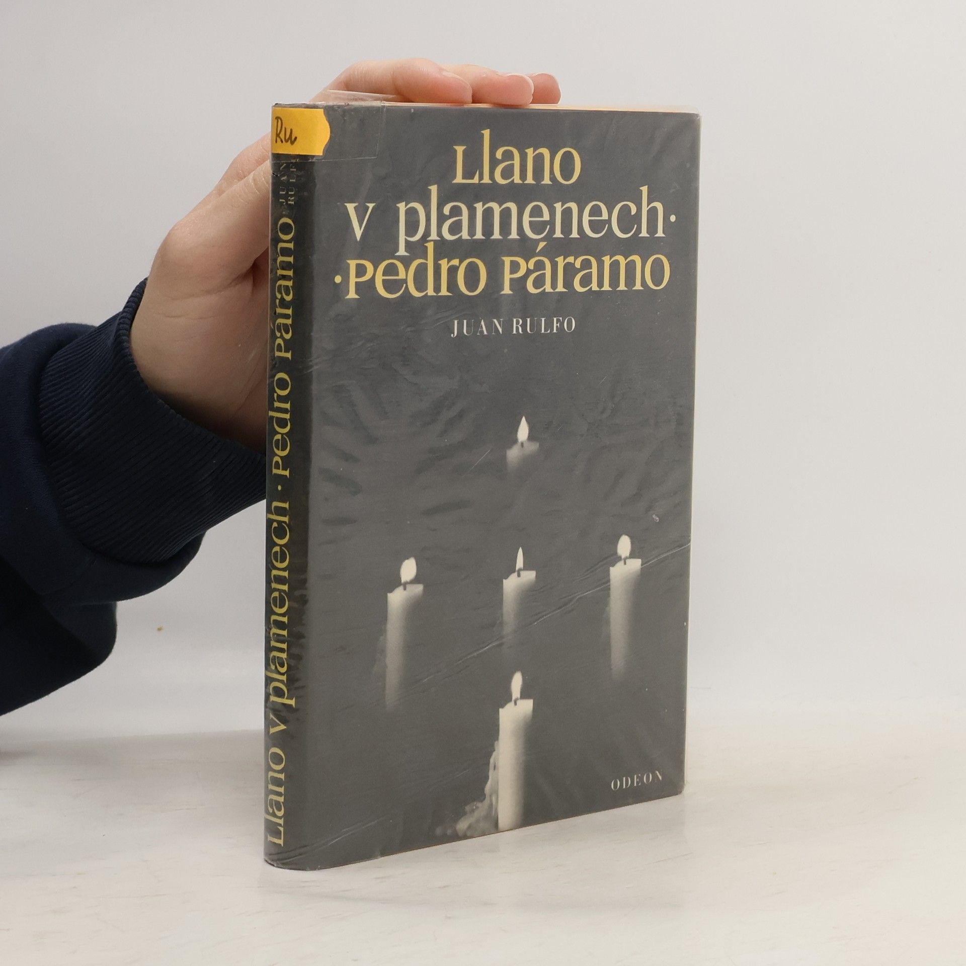 Juan Rulfo Llano v plamenech. Pedro Páramo