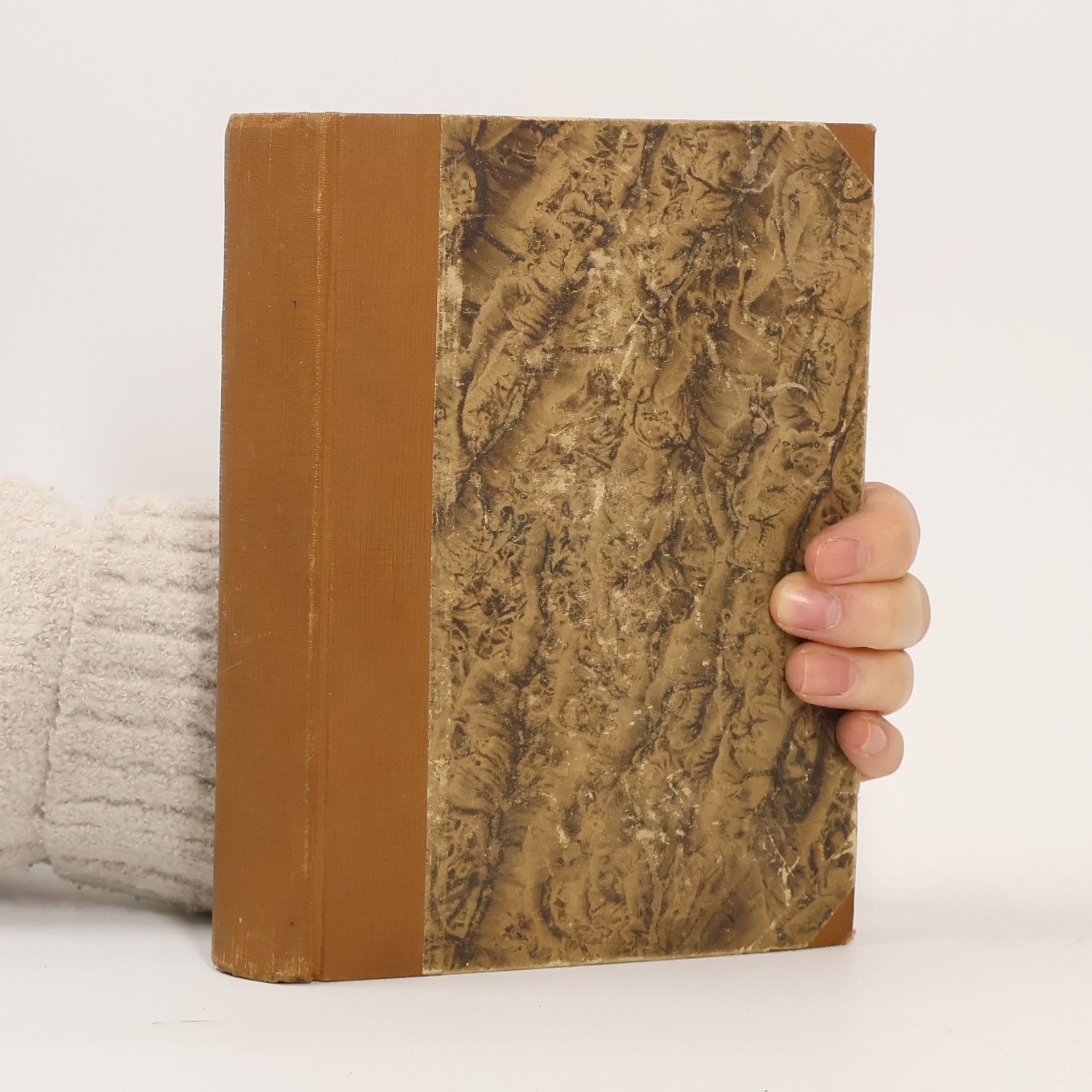 Alexandre Dumas starší Královna Margot. Díl I.