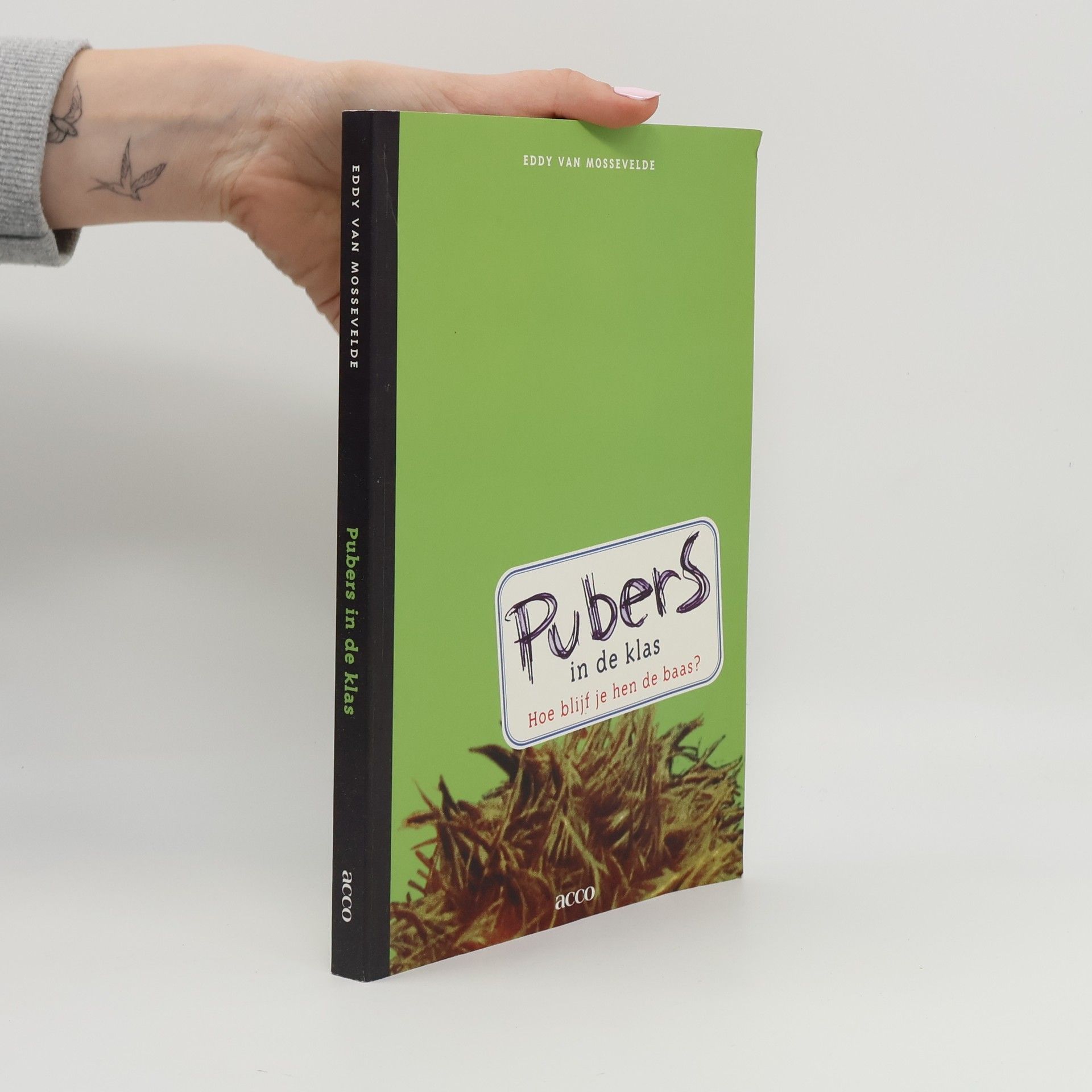 Eddy Van Mossevelde Pubers in de klas