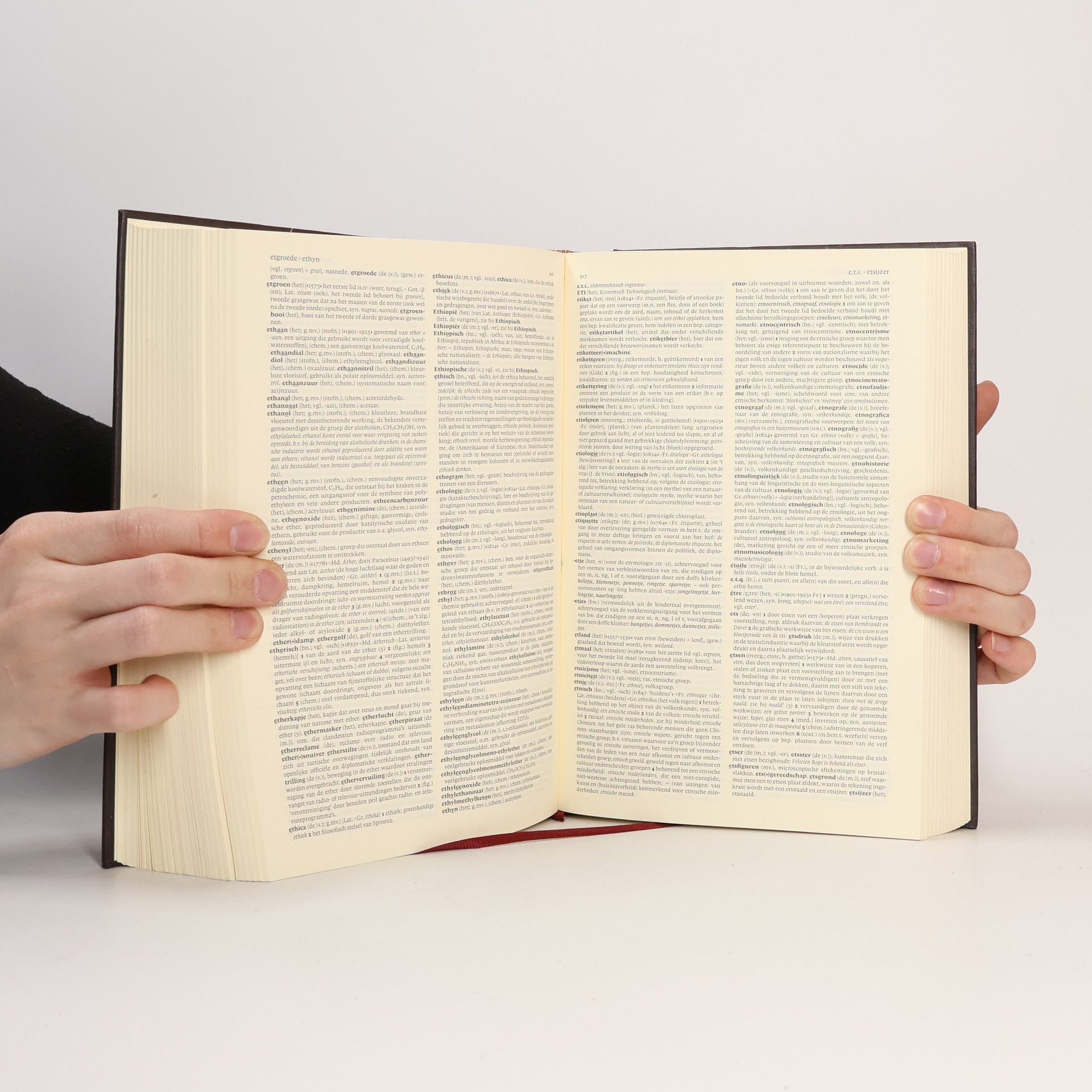 Johan Hendrik van Dale Van Dale groot woordenboek der Nederlandse taal A-I