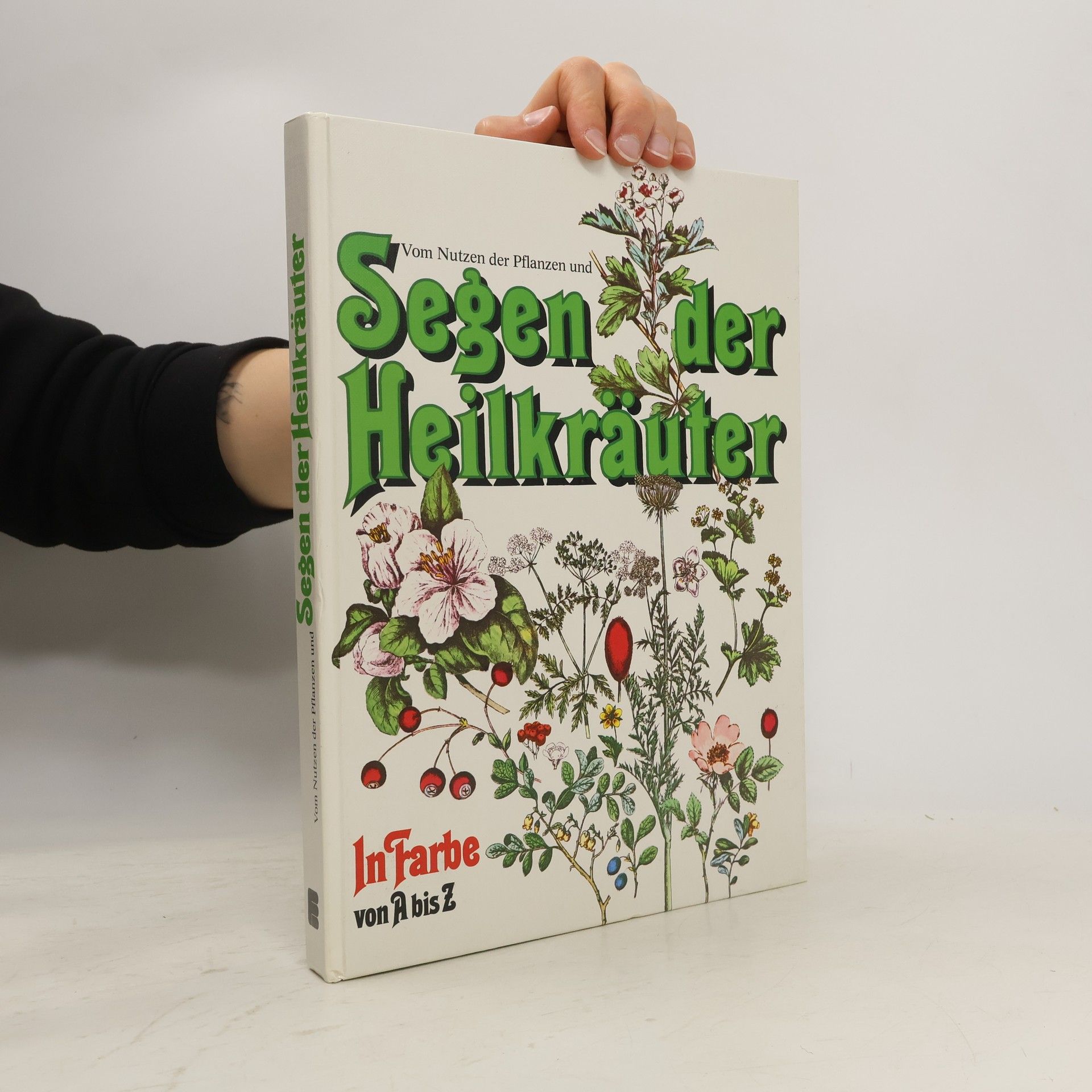 Rudolf Graubner Vom Nutzen der Pflanzen und Segen der Heilkräuter