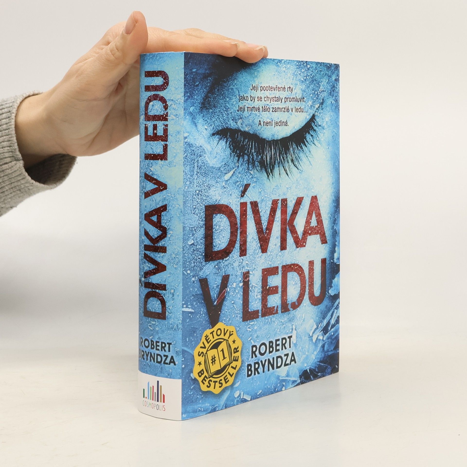 Robert Bryndza Dívka v ledu