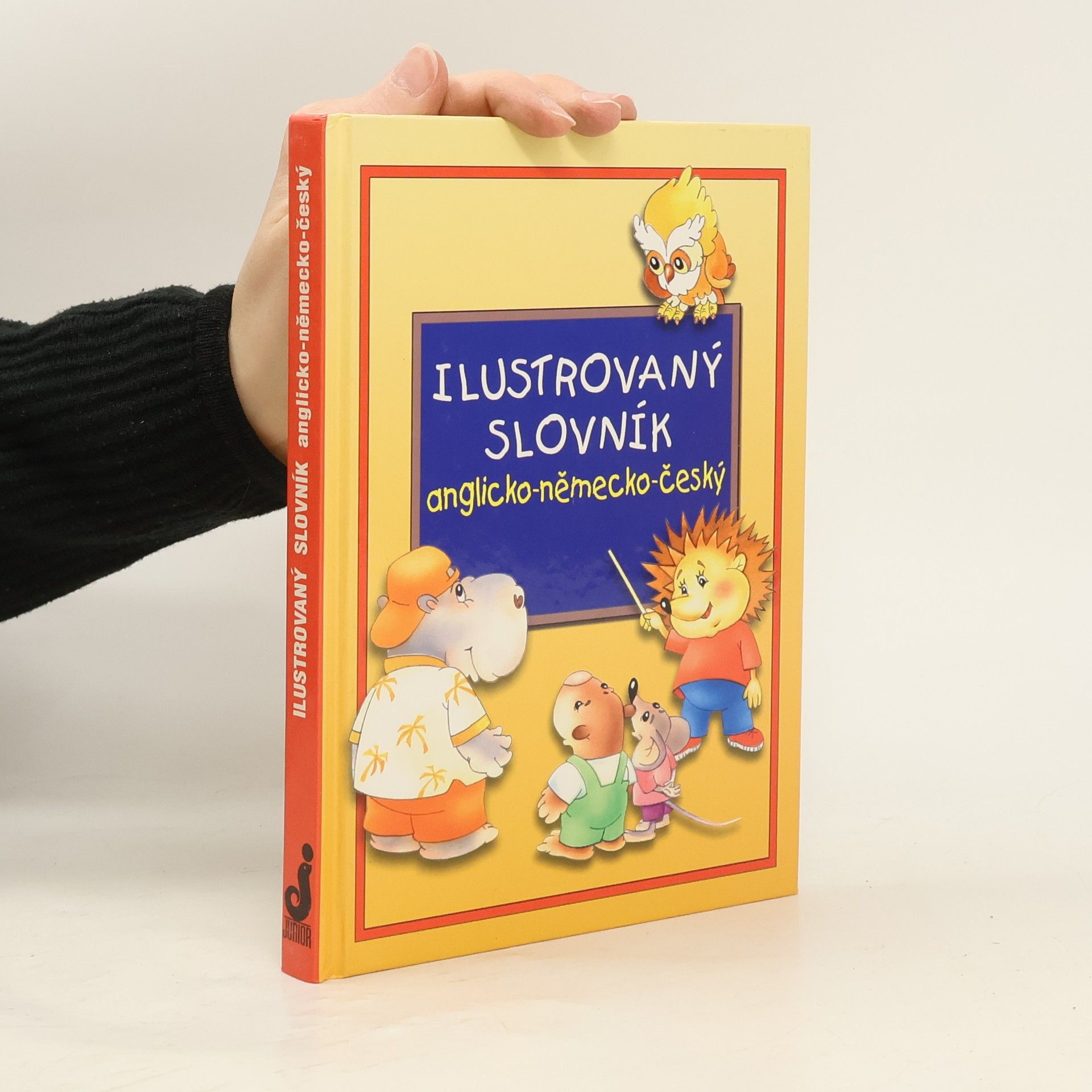 Alena Amchová Ilustrovaný slovník anglicko-německo-český