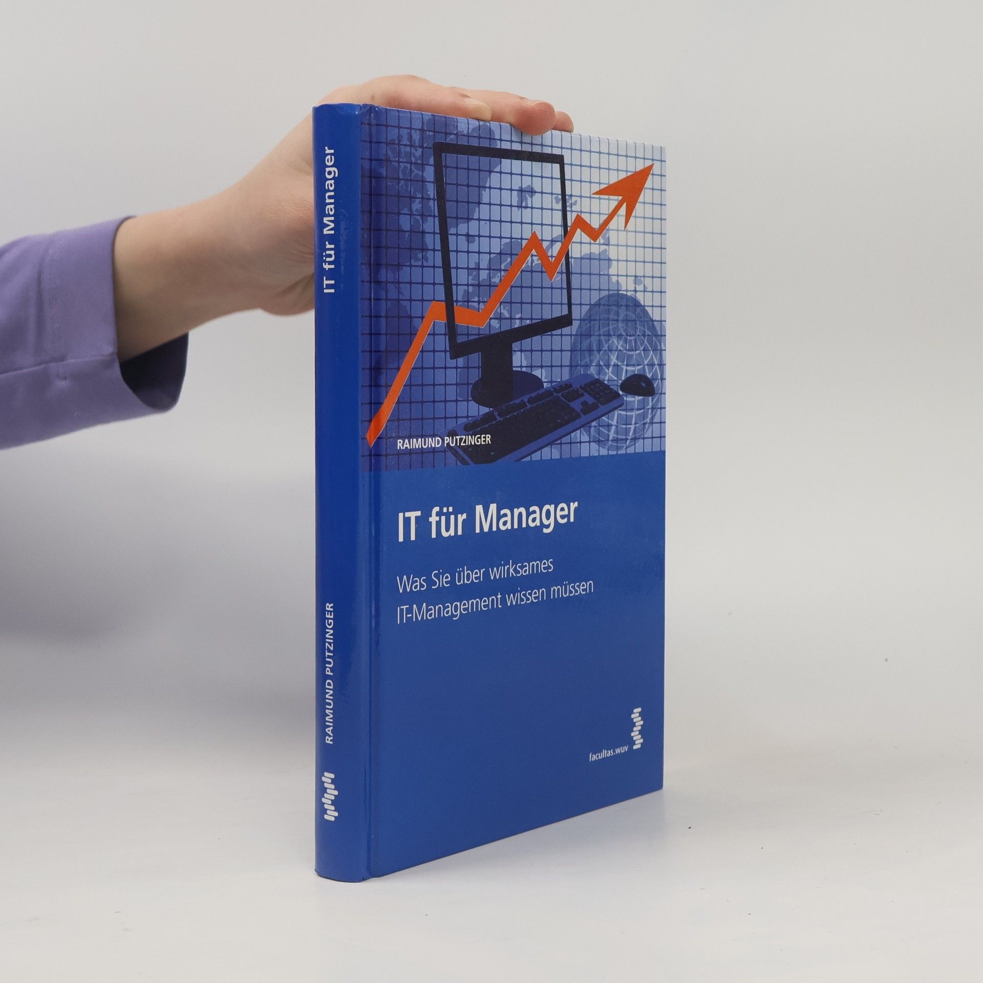 Raimund Putzinger IT für Manager