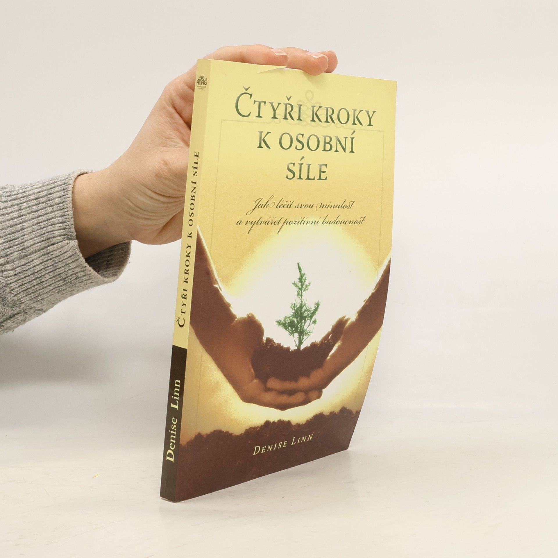 Denise Linn Čtyři kroky k osobní síle: Jak léčit svou minulost a vytvářet pozitivní budoucnost