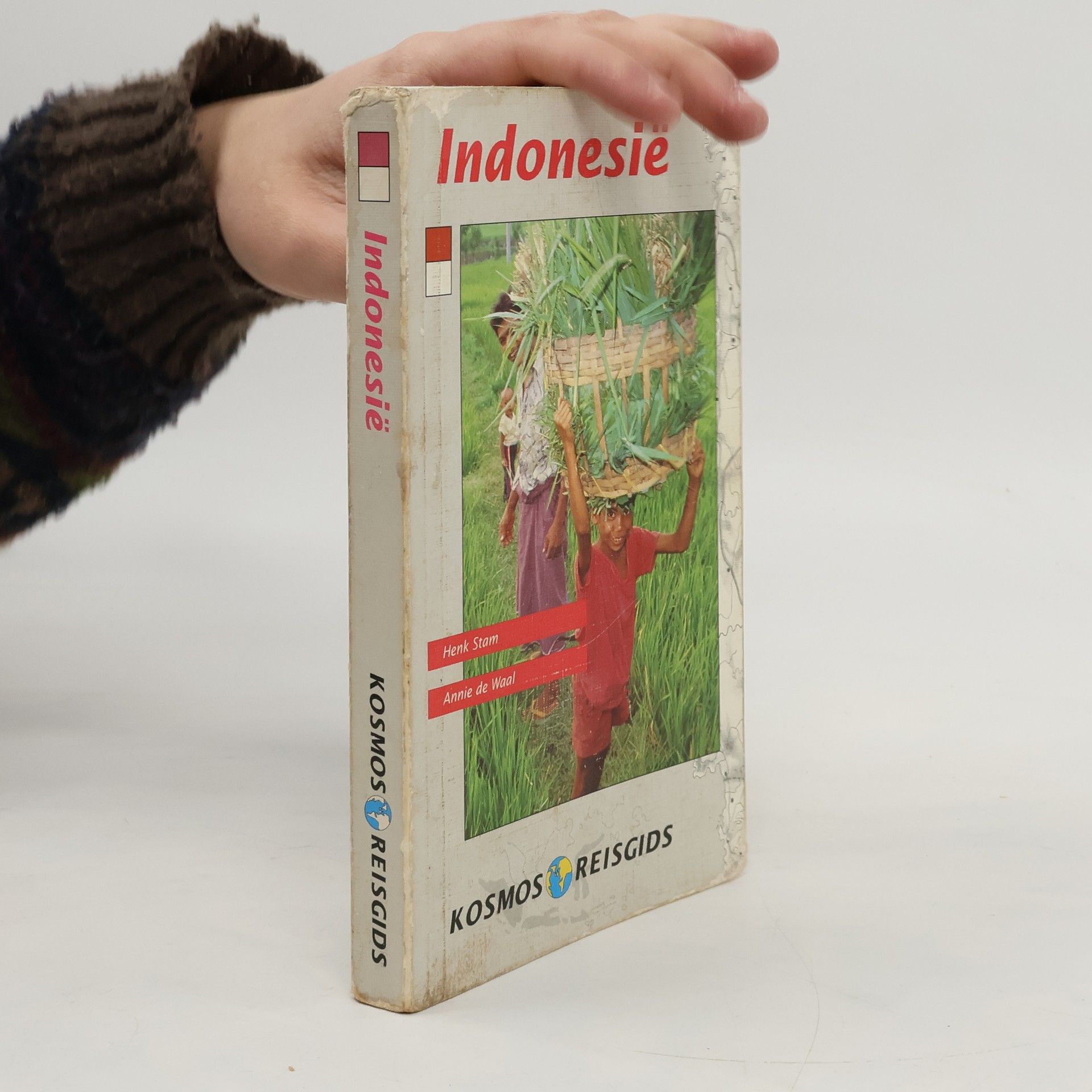 Henk Stam Kosmos reisgids: Indonesië
