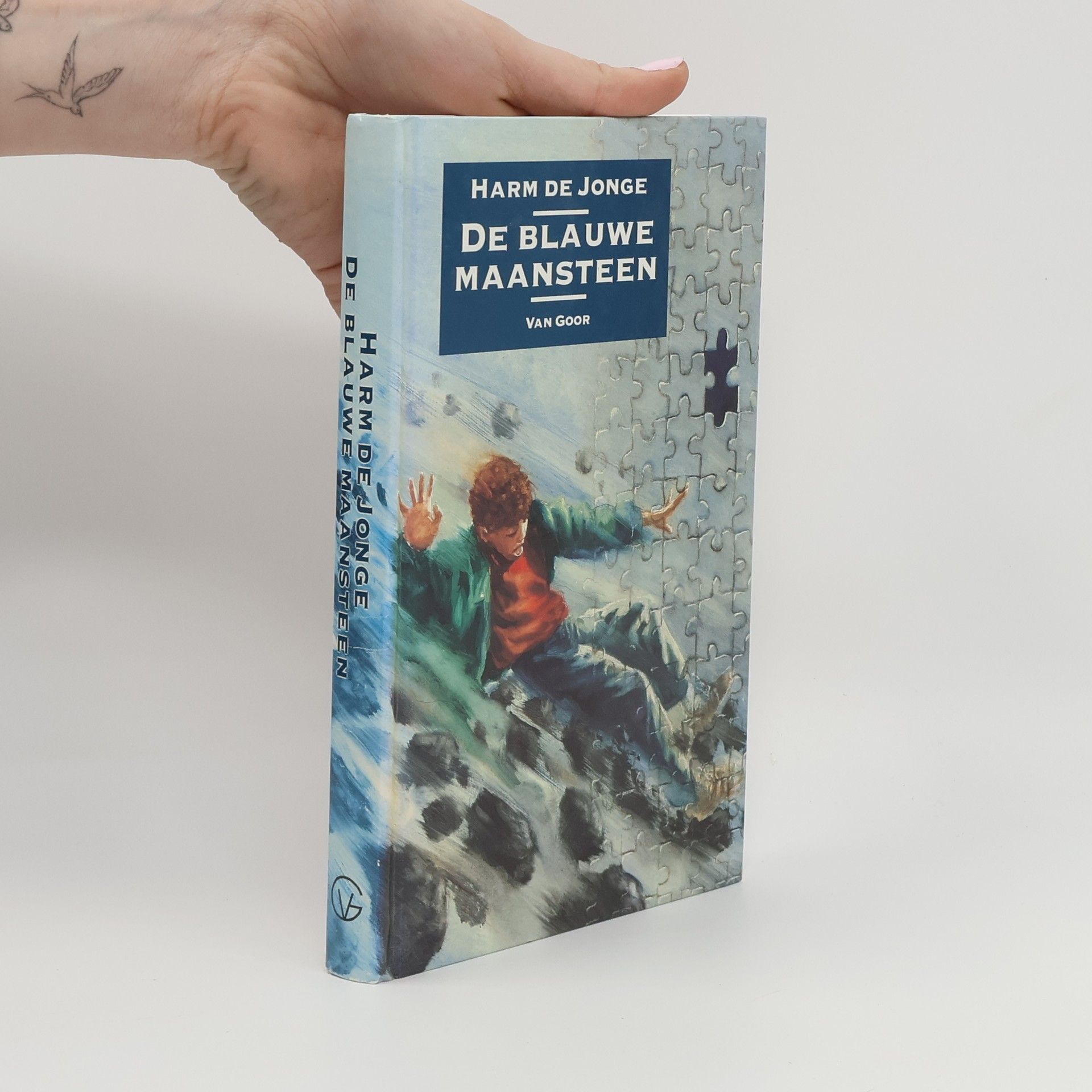 Harm de Jonge De Blauwe Maansteen