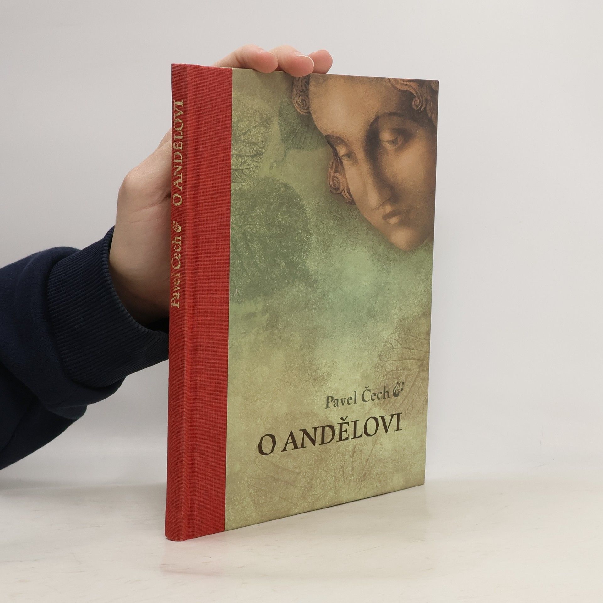 Pavel Čech O andělovi