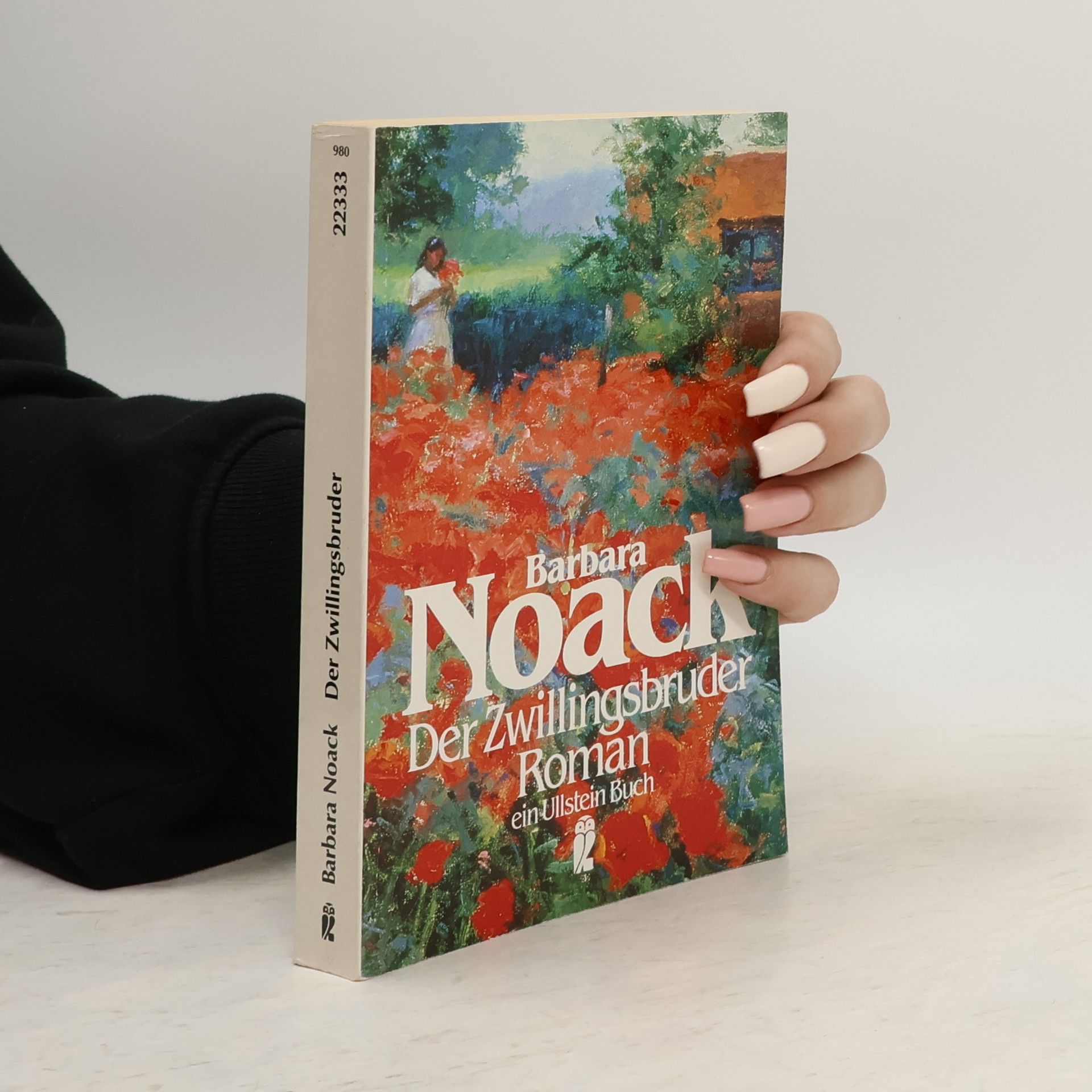 Barbara Noack Der Zwillingsbruder