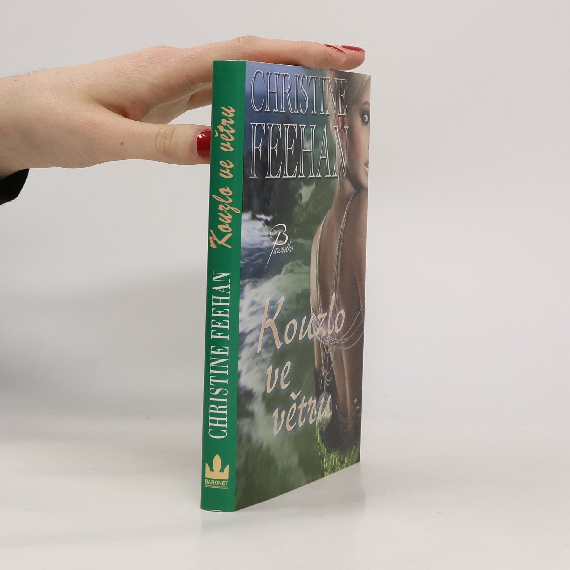 Christine Feehan Kouzlo ve větru