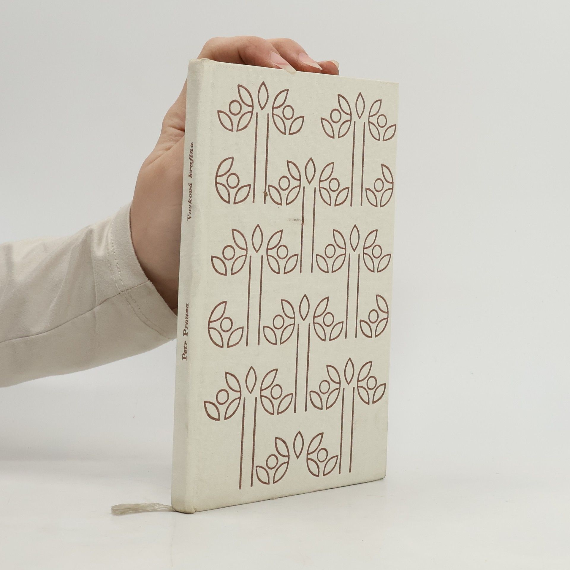 Petr Prouza Vosková krajina