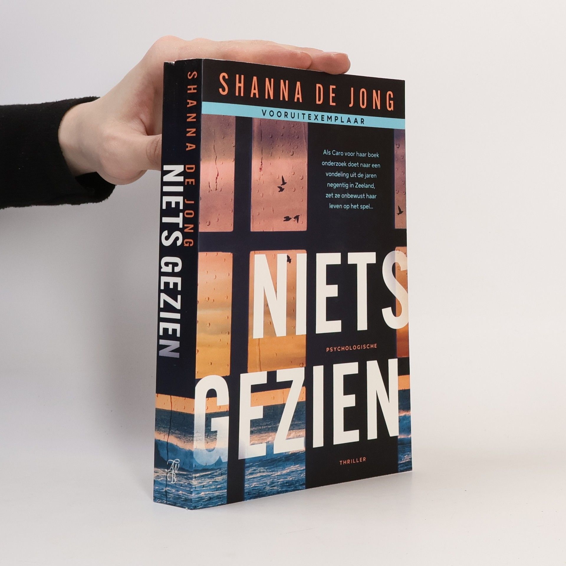 Shanna de Jong Niets gezien