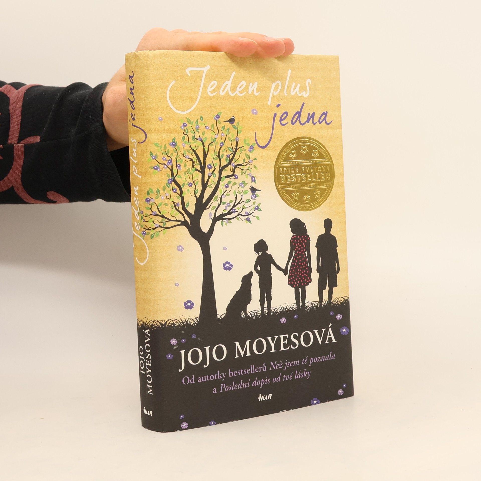 Jojo Moyes Jeden plus jedna