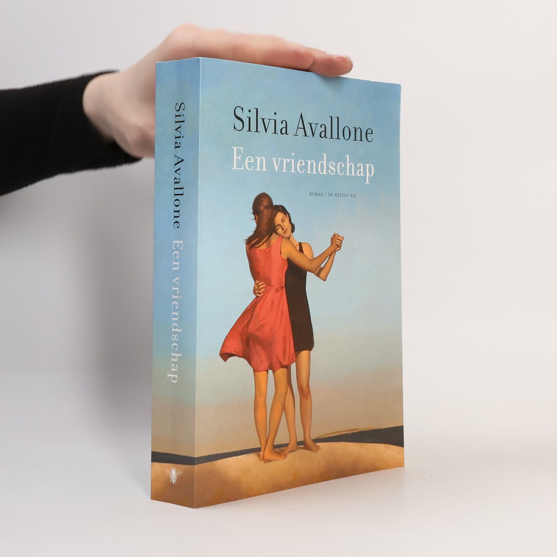 Silvia Avallone Een vriendschap