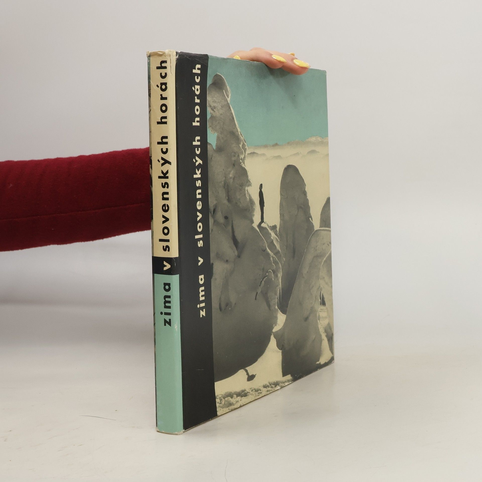 Autorenkollektiv Zima v slovenských horách