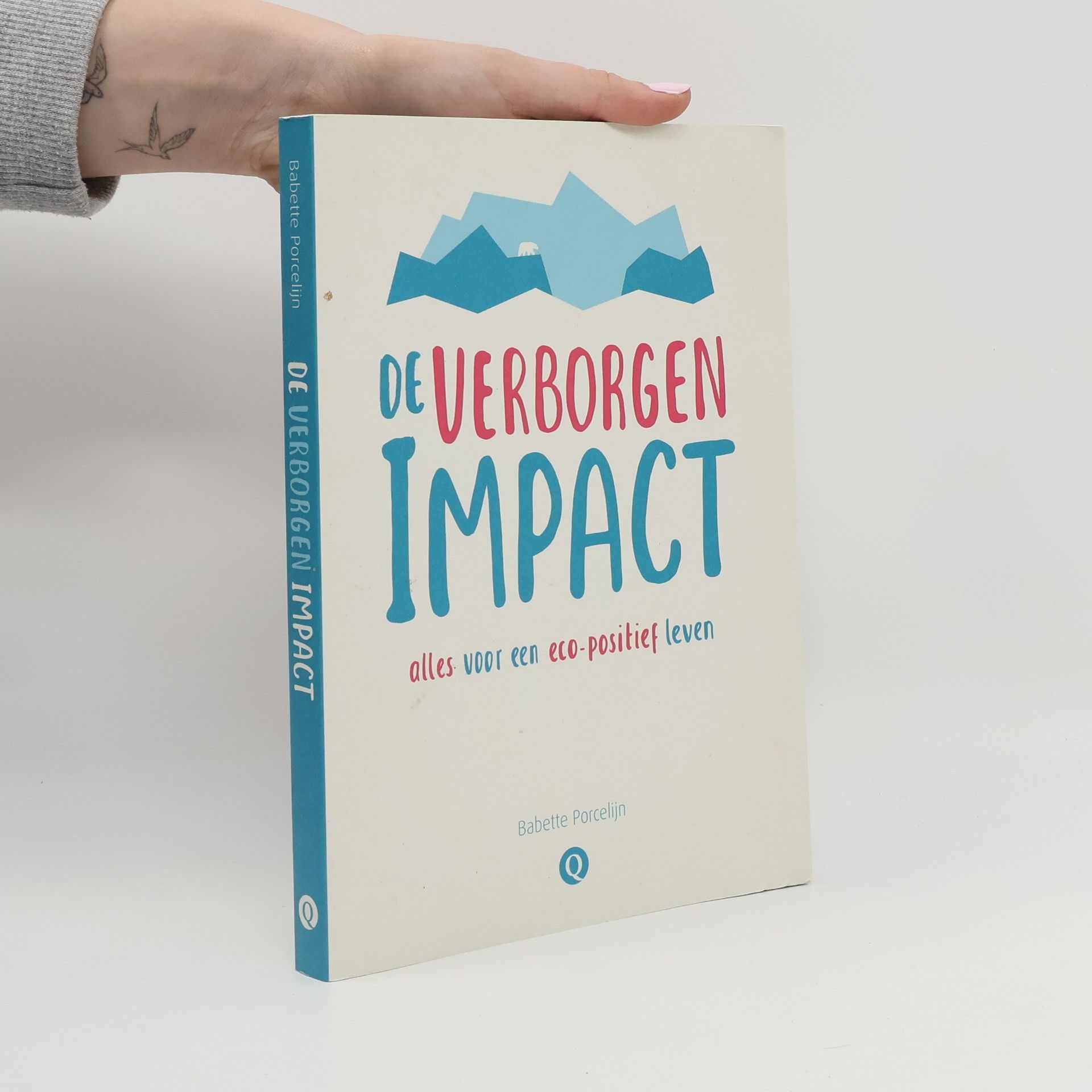 Babette Porcelijn De verborgen impact