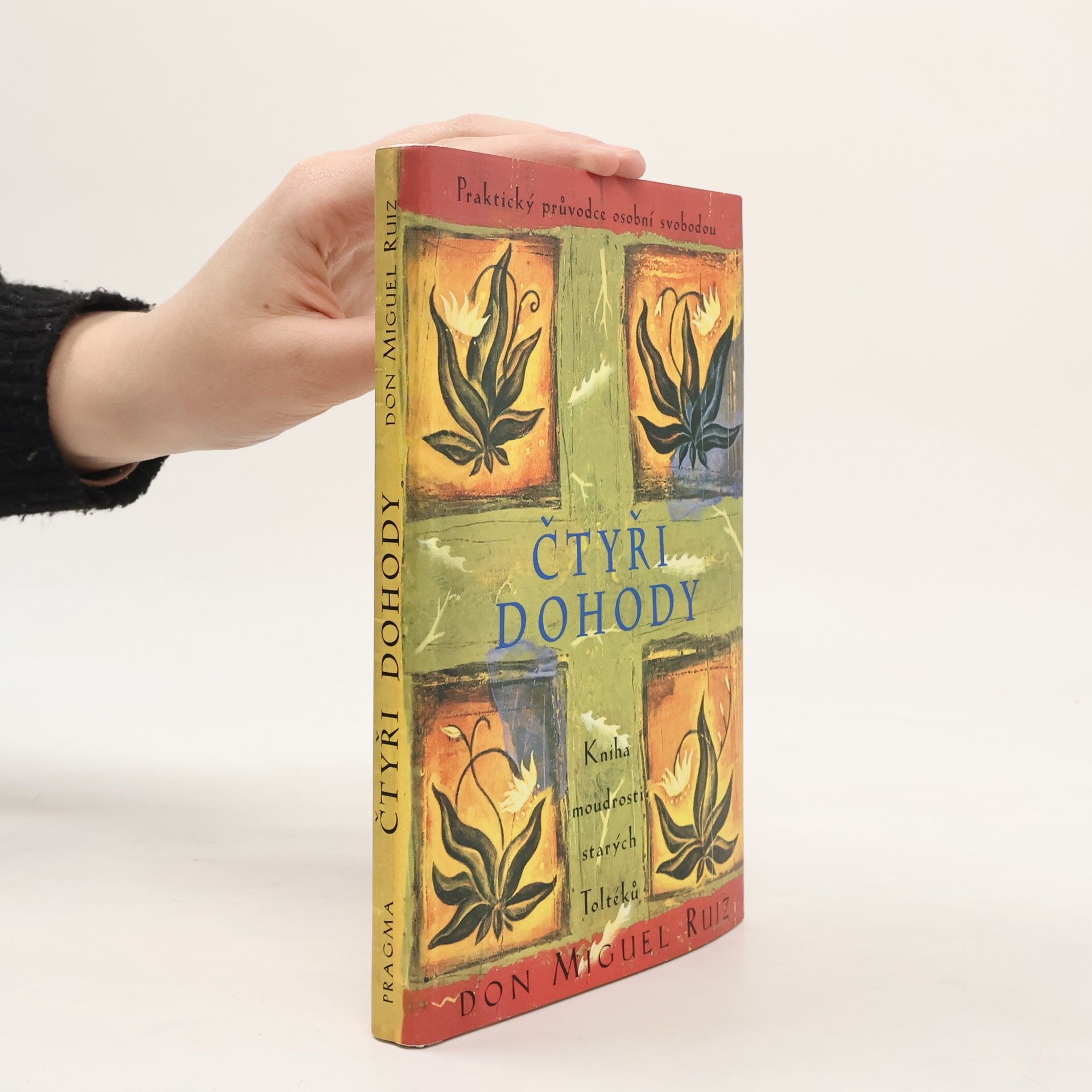 Don Miguel Ruiz Čtyři dohody